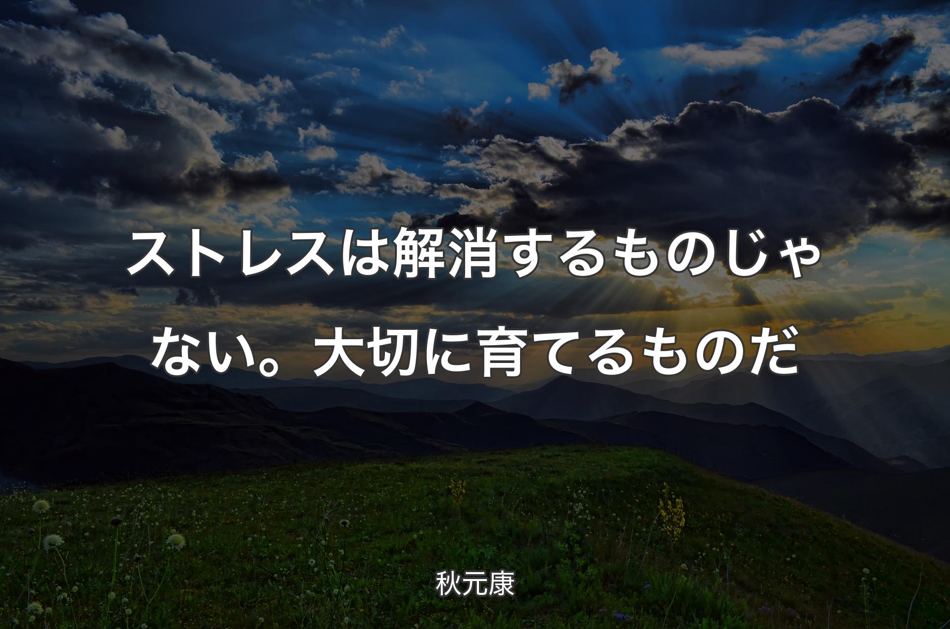 ストレスは解消するものじゃない。大切に育てるものだ - 秋元康