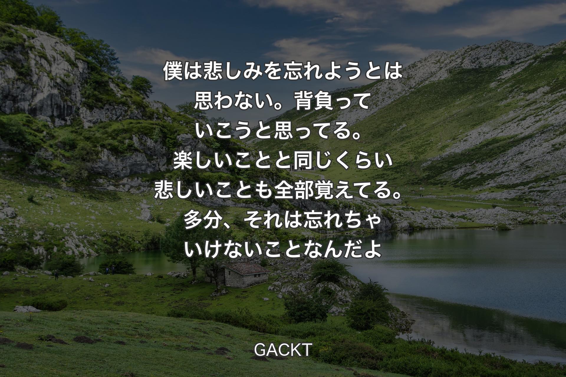 【背景1】僕は悲しみを忘れようとは思わない。背負っていこうと思ってる。楽しいことと同じくらい悲しいことも全部覚えてる。多分、それは忘れちゃいけないことなんだよ - GACKT