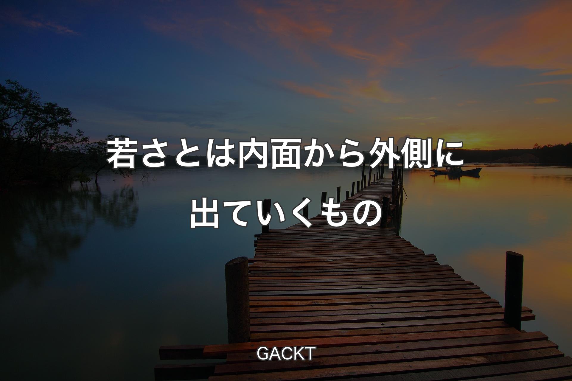 【背景3】若さとは内面から外側に出ていくもの - GACKT