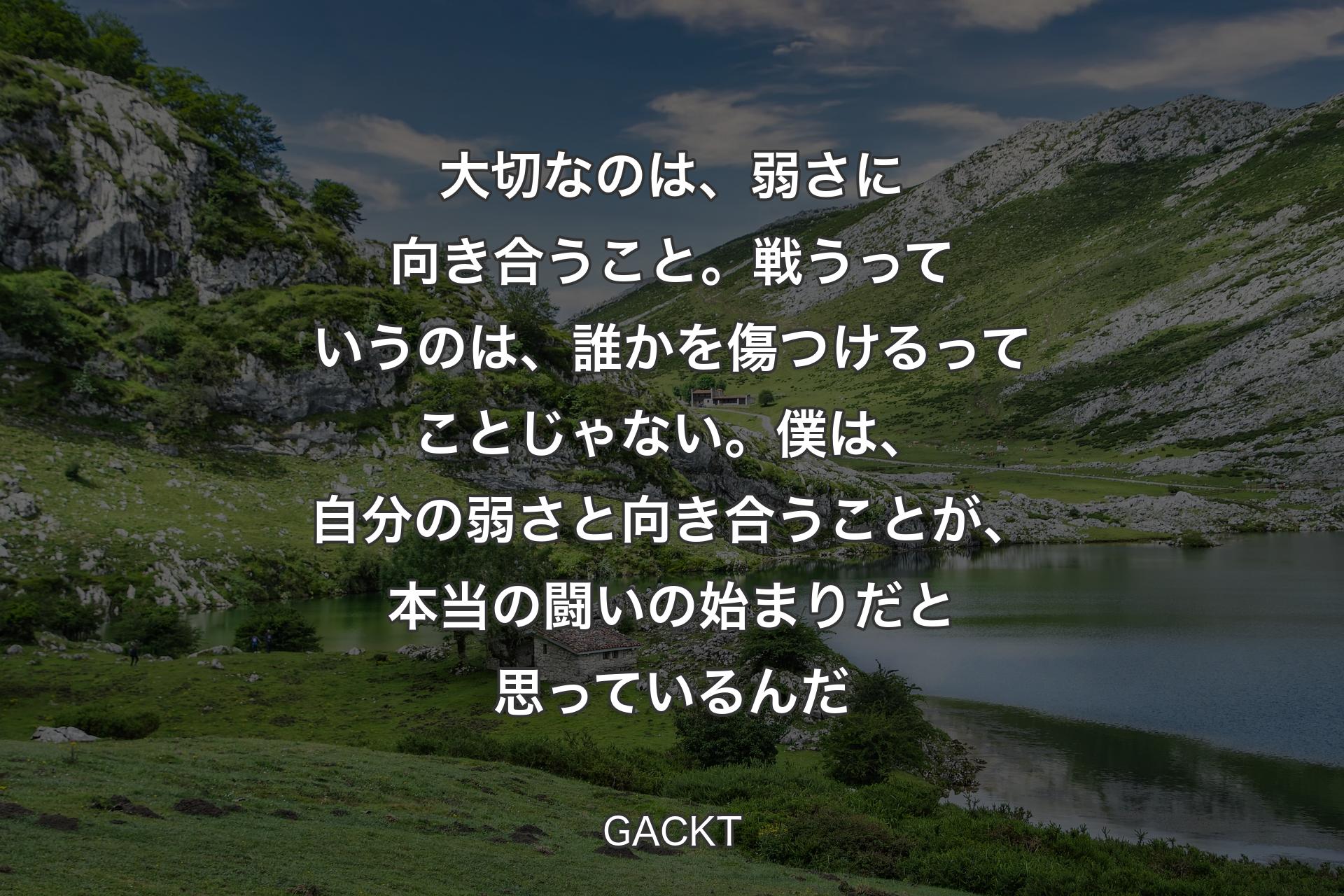 【背景1】大切なのは、弱さに向き合うこと。戦うっていうのは、誰かを傷つけるってことじゃない。僕は、自分の弱さと向き合うことが、本当の闘いの始まりだと思っているんだ - GACKT