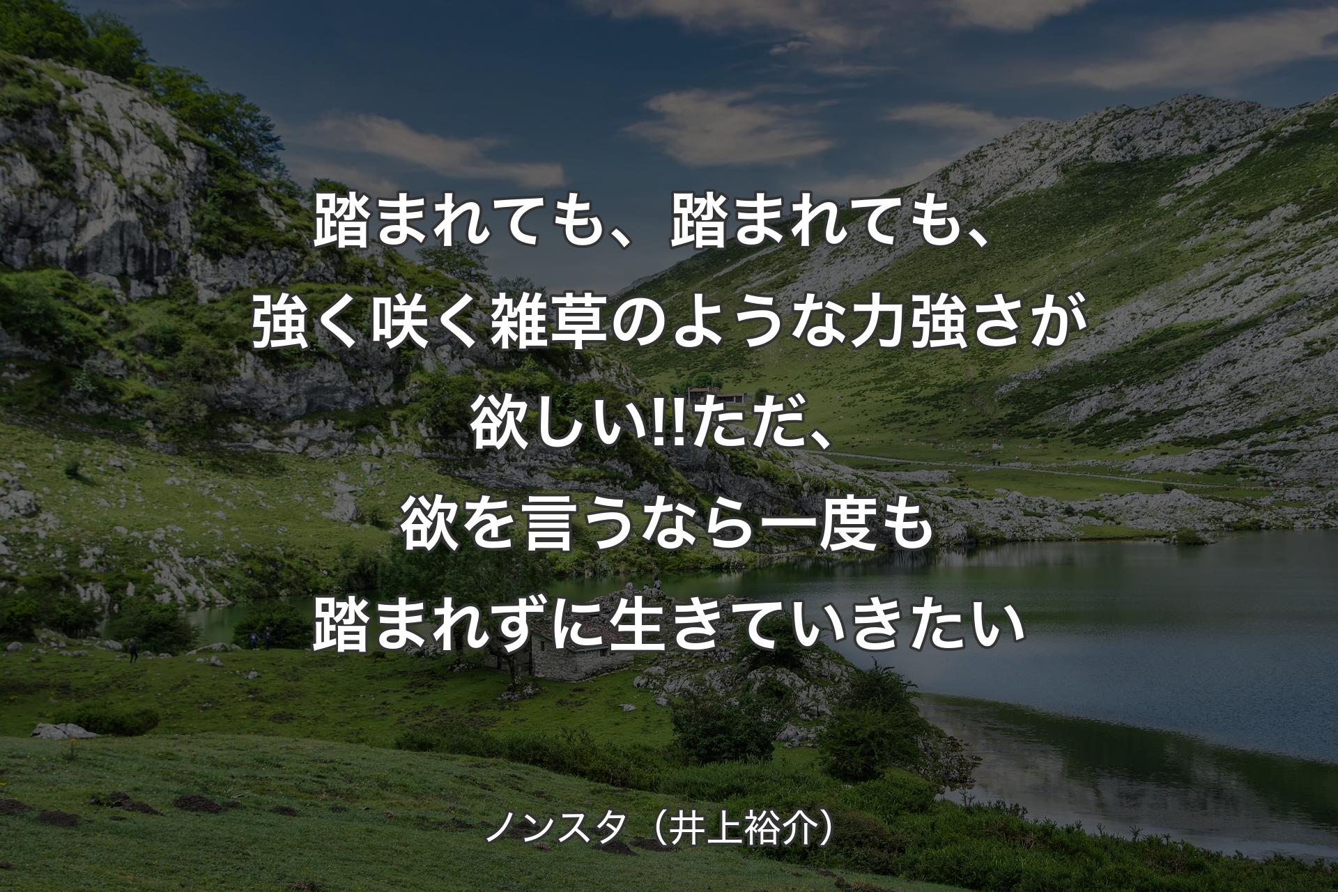 踏まれても、踏まれても、強く咲く雑草のような力強さが欲しい!!ただ、欲を言うなら一度も踏まれずに生きていきたい - ノンスタ（井上裕介）