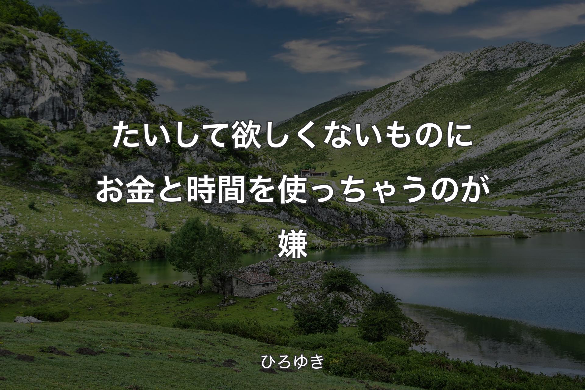 たいして欲しくないものにお金と時間を使っちゃうのが嫌 - ひろゆき