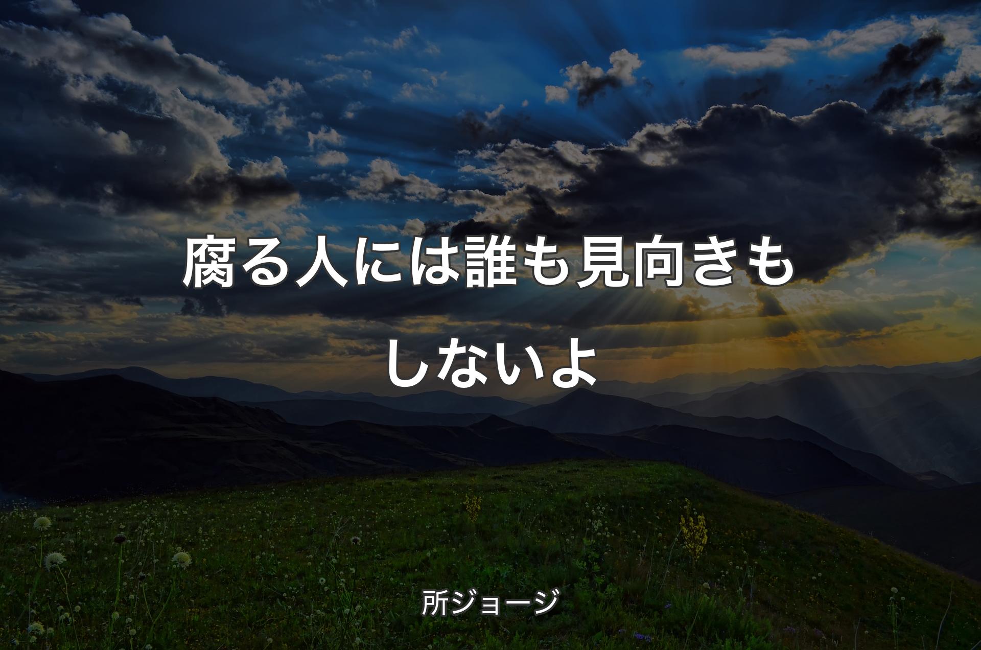 腐る人には誰も見向きもしないよ - 所ジョージ