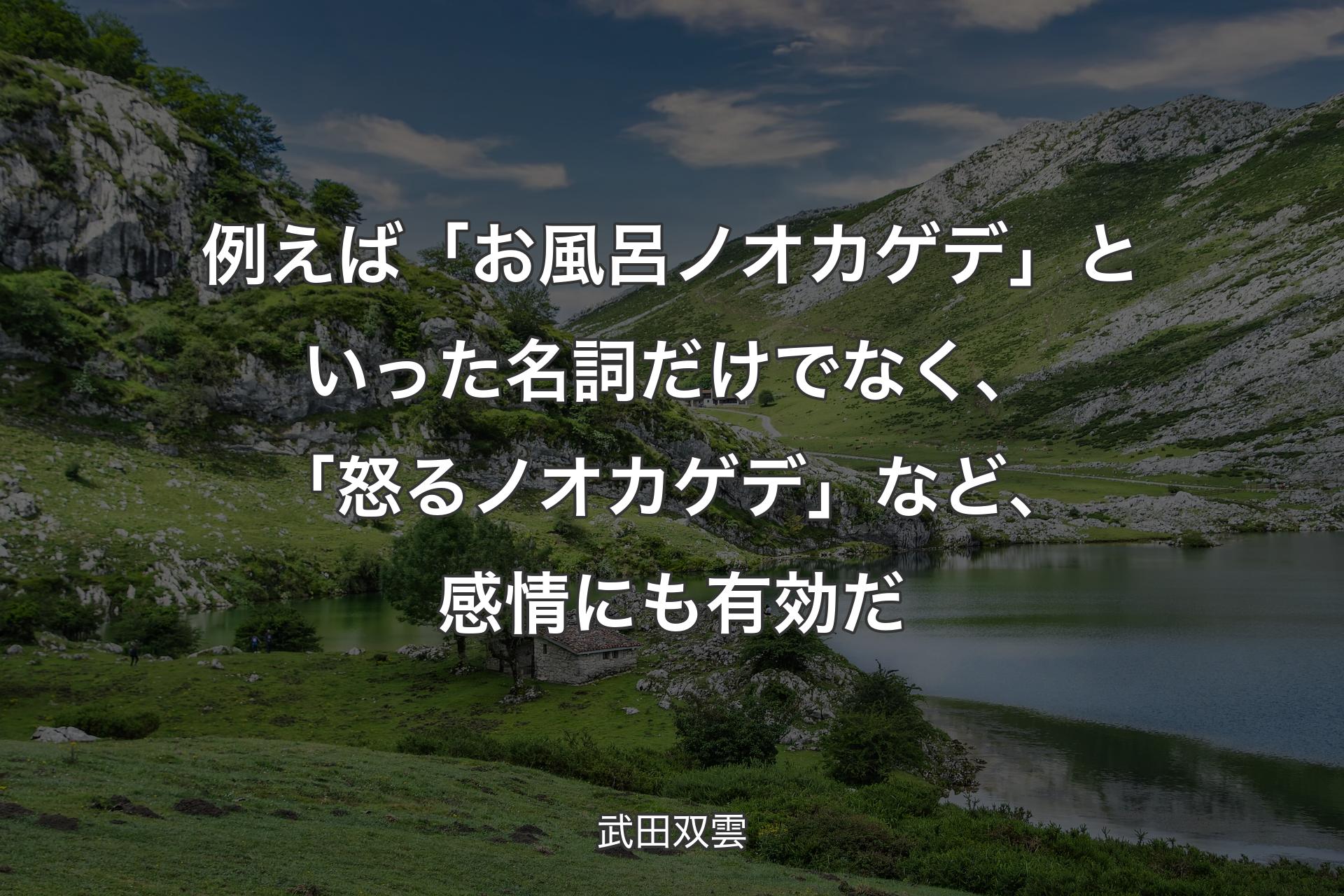 【背景1】例えば「お風呂ノオカゲデ」といった名詞だけでなく、「怒るノオカゲデ」など、感情にも有効だ - 武田双雲