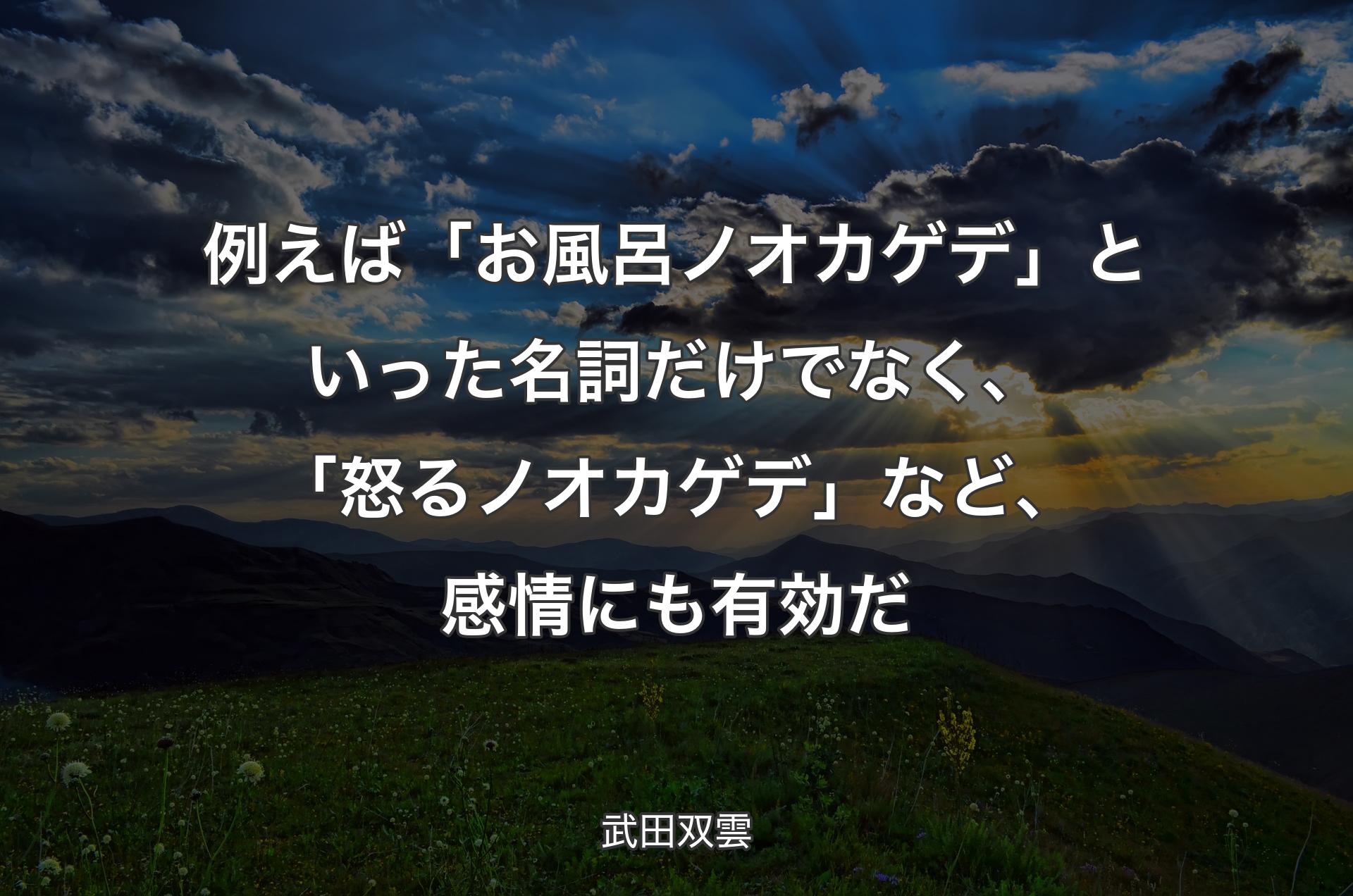 例えば「お風呂ノオカゲデ」といった名詞だけでなく、「怒るノオカゲデ」など、感情にも有効だ - 武田双雲