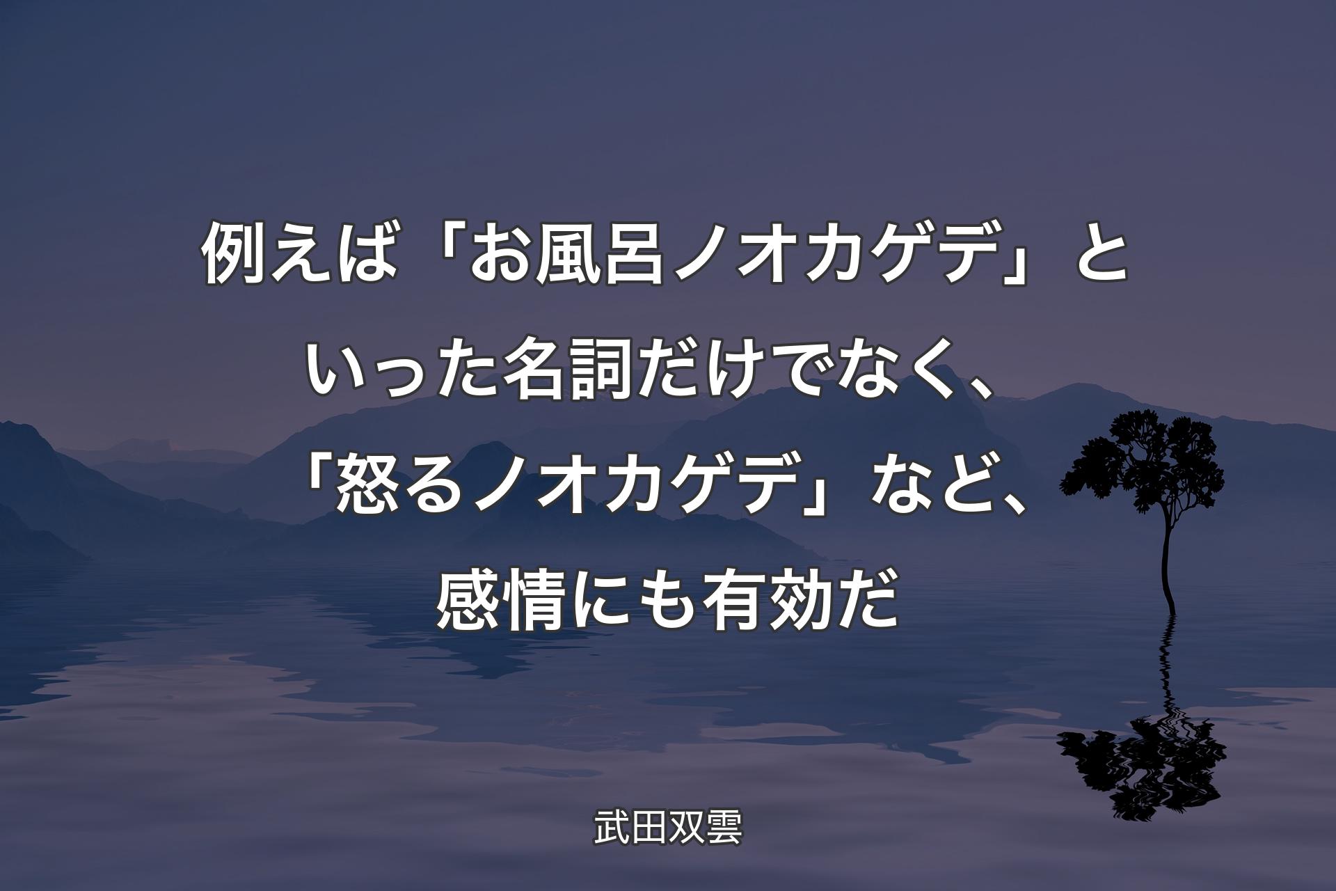 【背景4】例えば「お風呂ノオカゲデ」といった名詞だけでなく、「怒るノオカゲデ」など、感情にも有効だ - 武田双雲