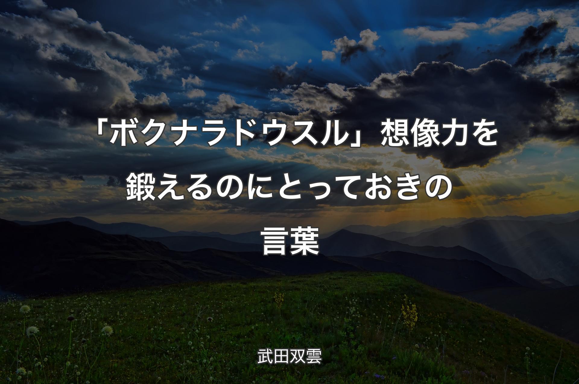 「ボクナラドウスル」想像力を鍛えるのにとっておきの言葉 - 武田双雲