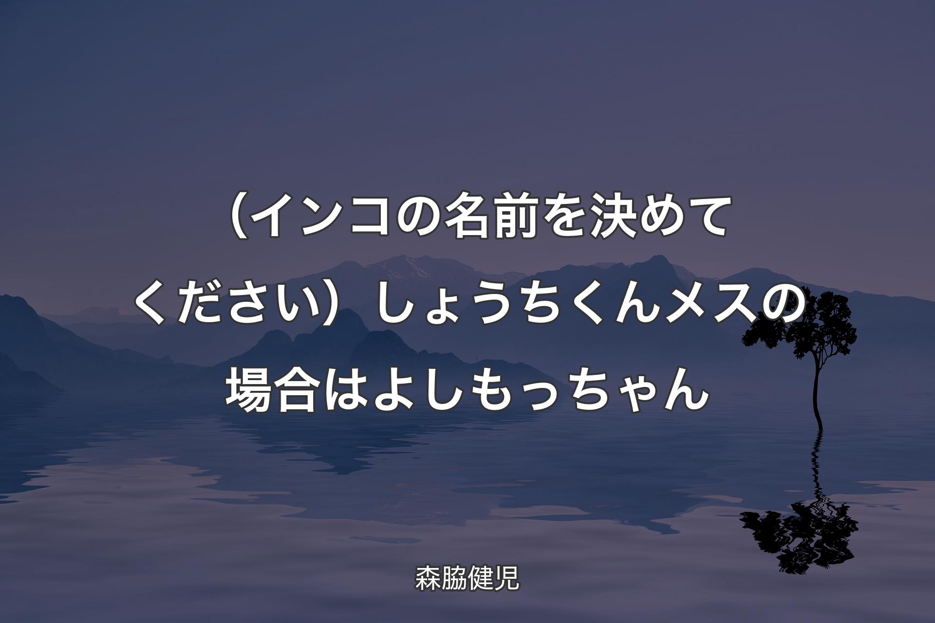 【背景4】（インコの名前を決めてください）しょうちくん メスの場合は よしもっちゃん - 森脇健児