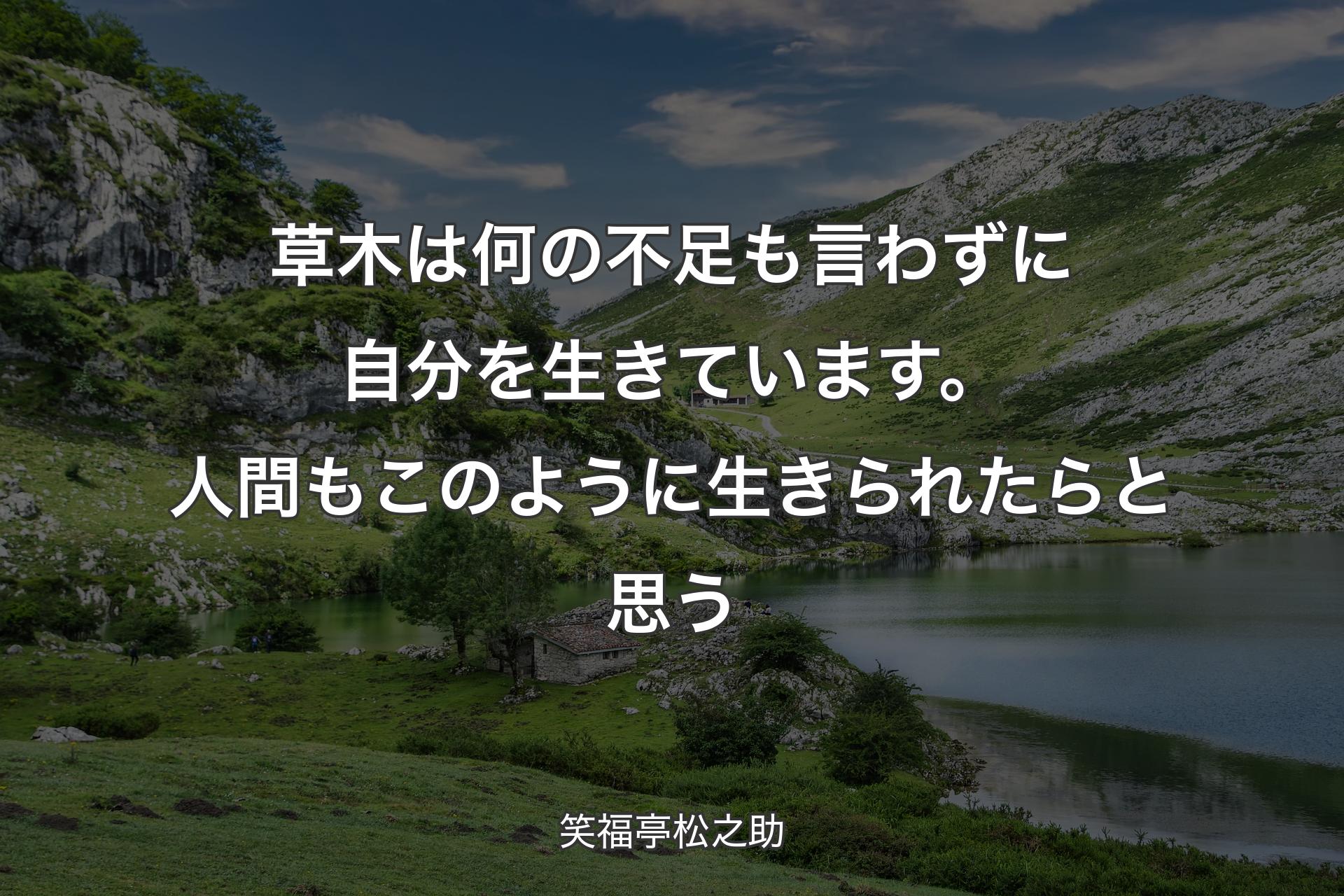 【背景1】草木は何の不足も言わずに自分を生きています。人間もこのように生きられたらと思う - 笑福亭松之助