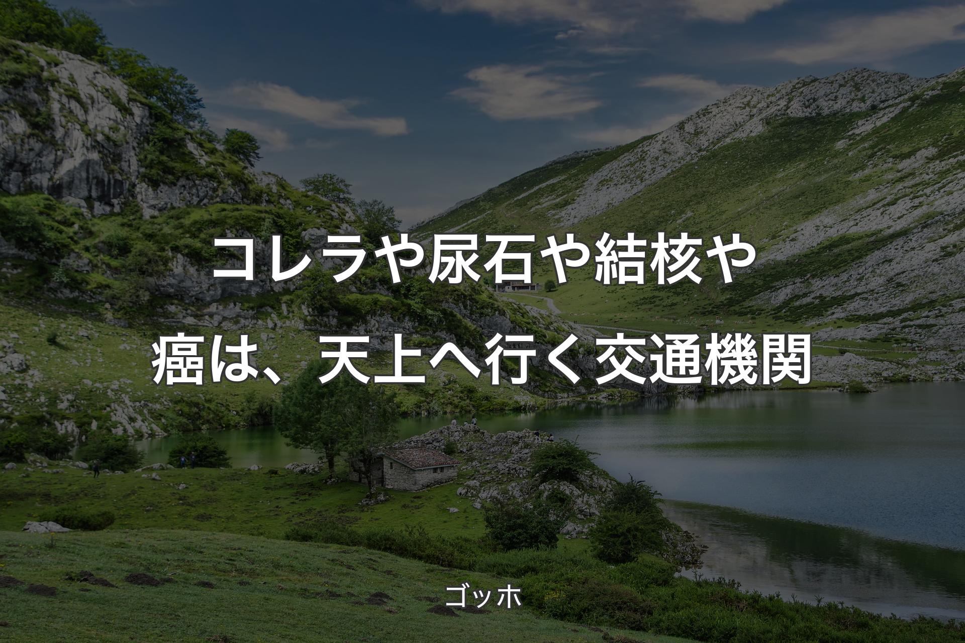 【背景1】コレラや尿石や結核や癌は、天上へ行く交通機関 - ゴッホ