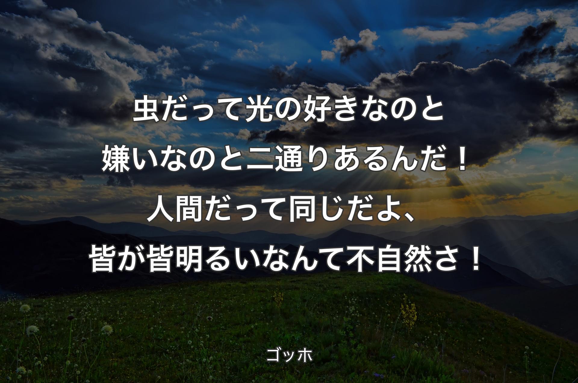 虫だって光の好きなのと嫌いなのと二通りあるんだ！人間だって同じだよ、皆が皆明るいなんて不自然さ！ - ゴッホ