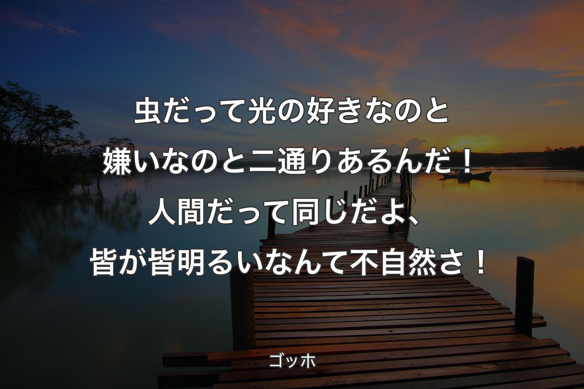 ��【背景3】虫だって光の好きなのと嫌いなのと二通りあるんだ！人間だって同じだよ、皆が皆明るいなんて不自然さ！ - ゴッホ