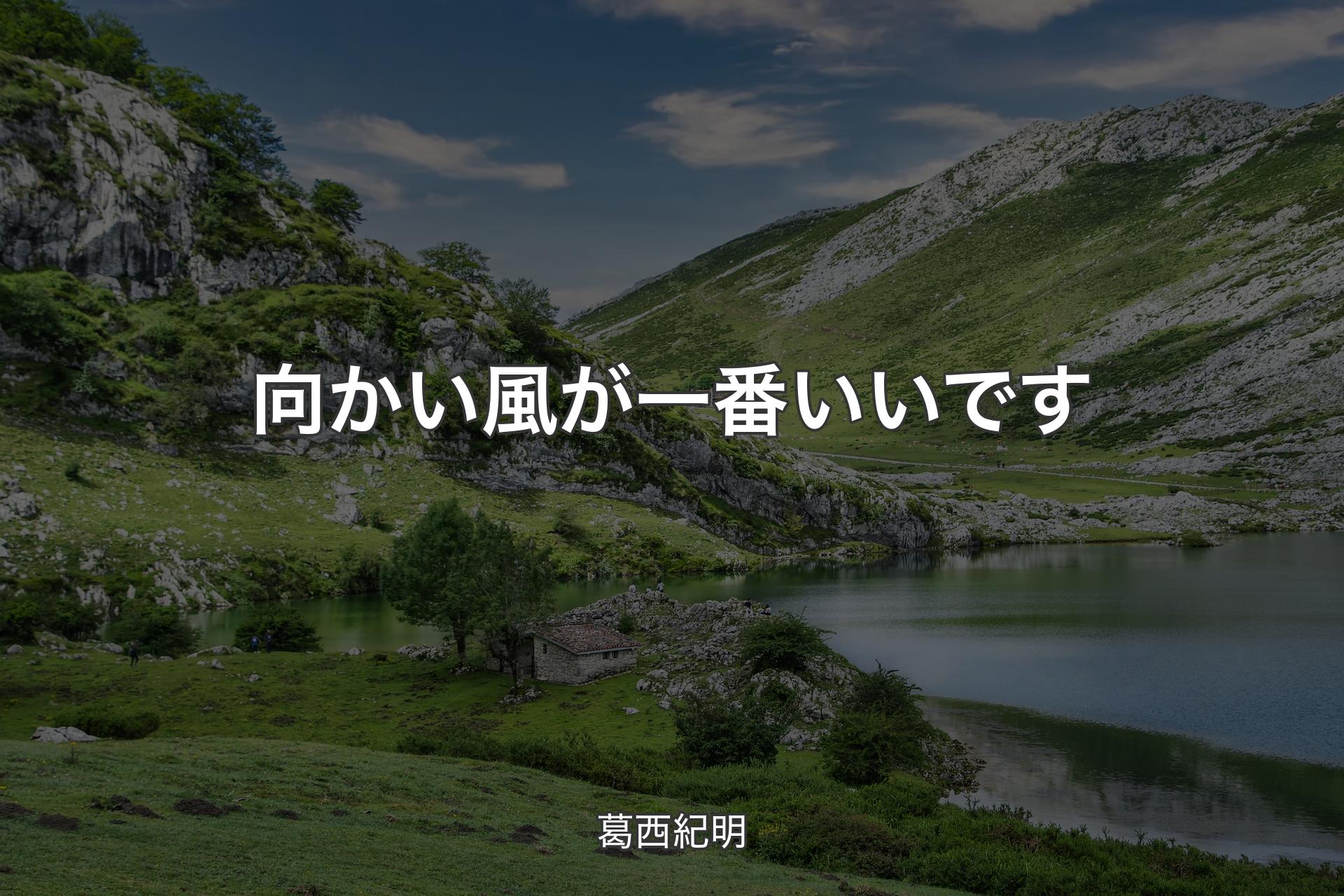 【背景1】向かい風が一番いいです - 葛西紀明