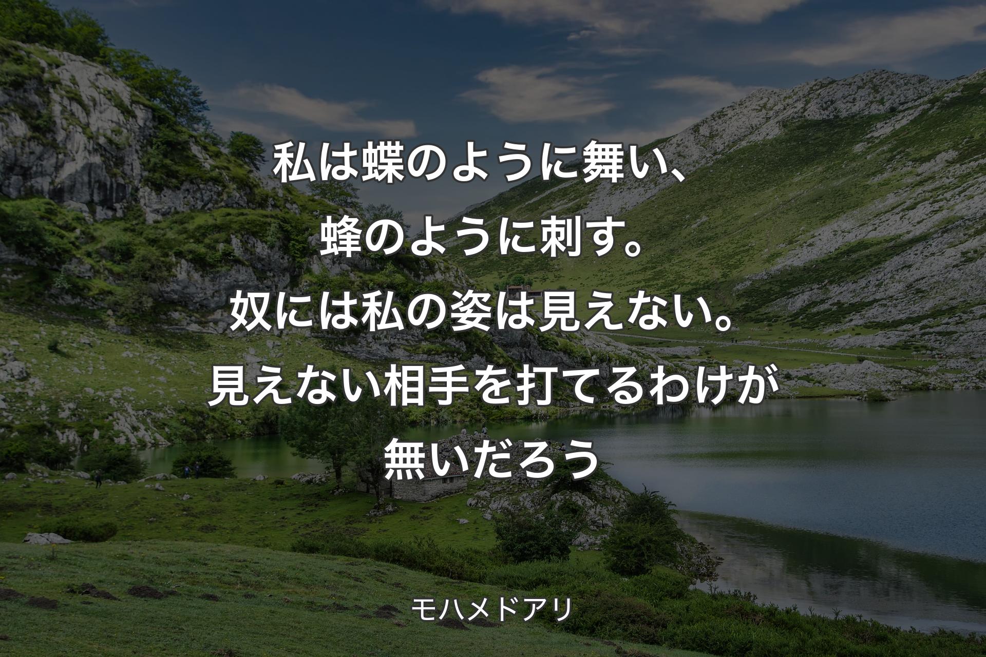 【背景1】私は蝶のように舞い、蜂のように刺す。奴には私の姿は見えない。見えない相手を打てるわけが無いだろう - モハメドアリ