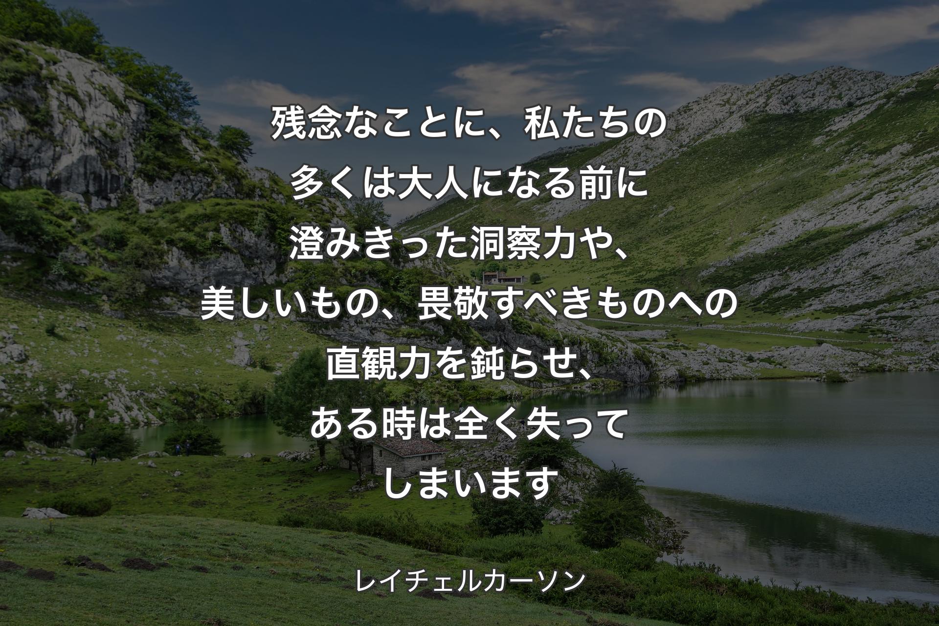 【背景1】残念なことに、私たちの多くは大人になる前に澄みきった洞察力や、美しいもの、畏敬すべきものへの直観力を鈍らせ、ある時は全く失ってしまいます - レイチェルカーソン