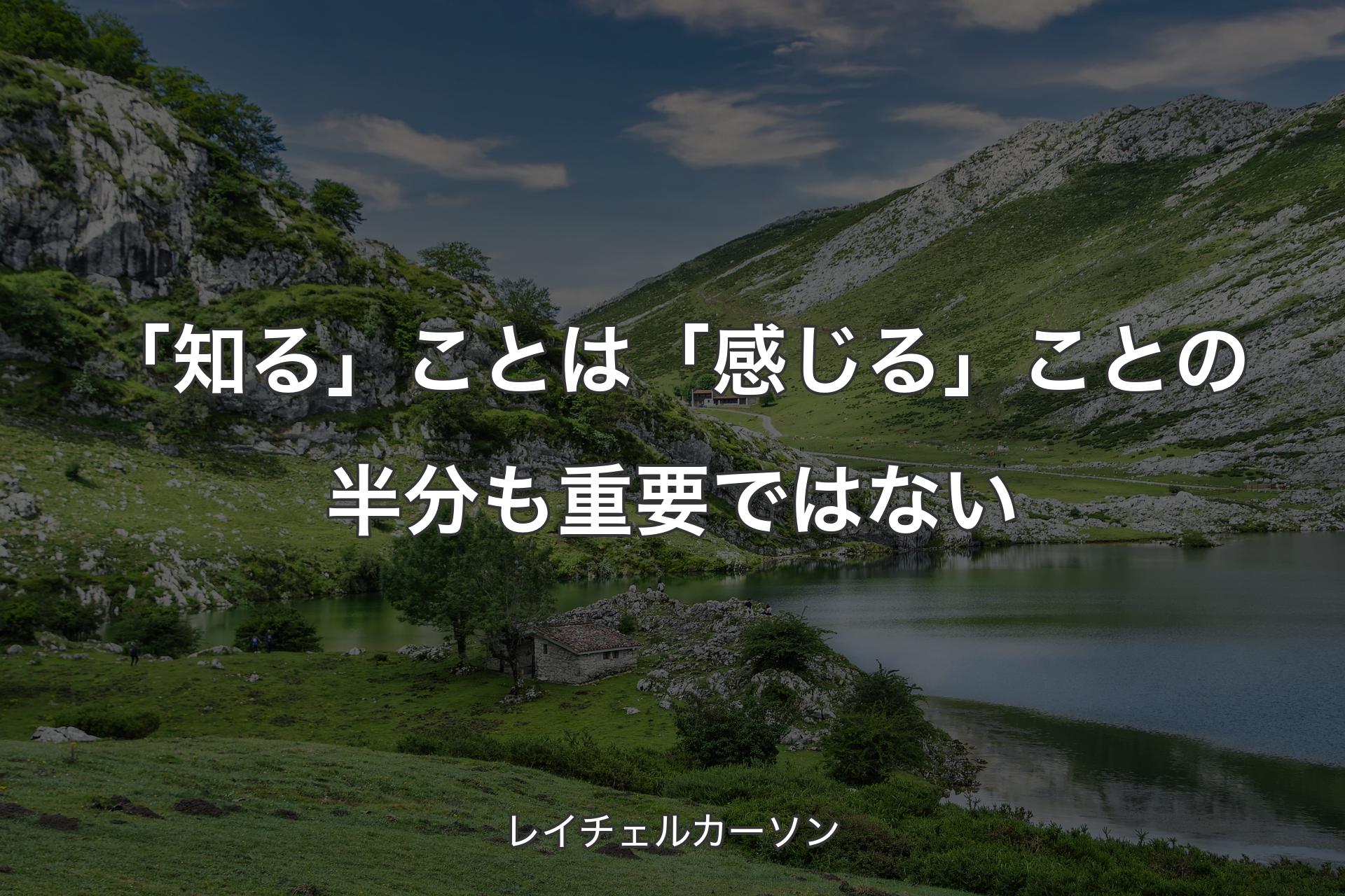 「知る」ことは「感じる」ことの半分も重要ではない - レイチェルカーソン