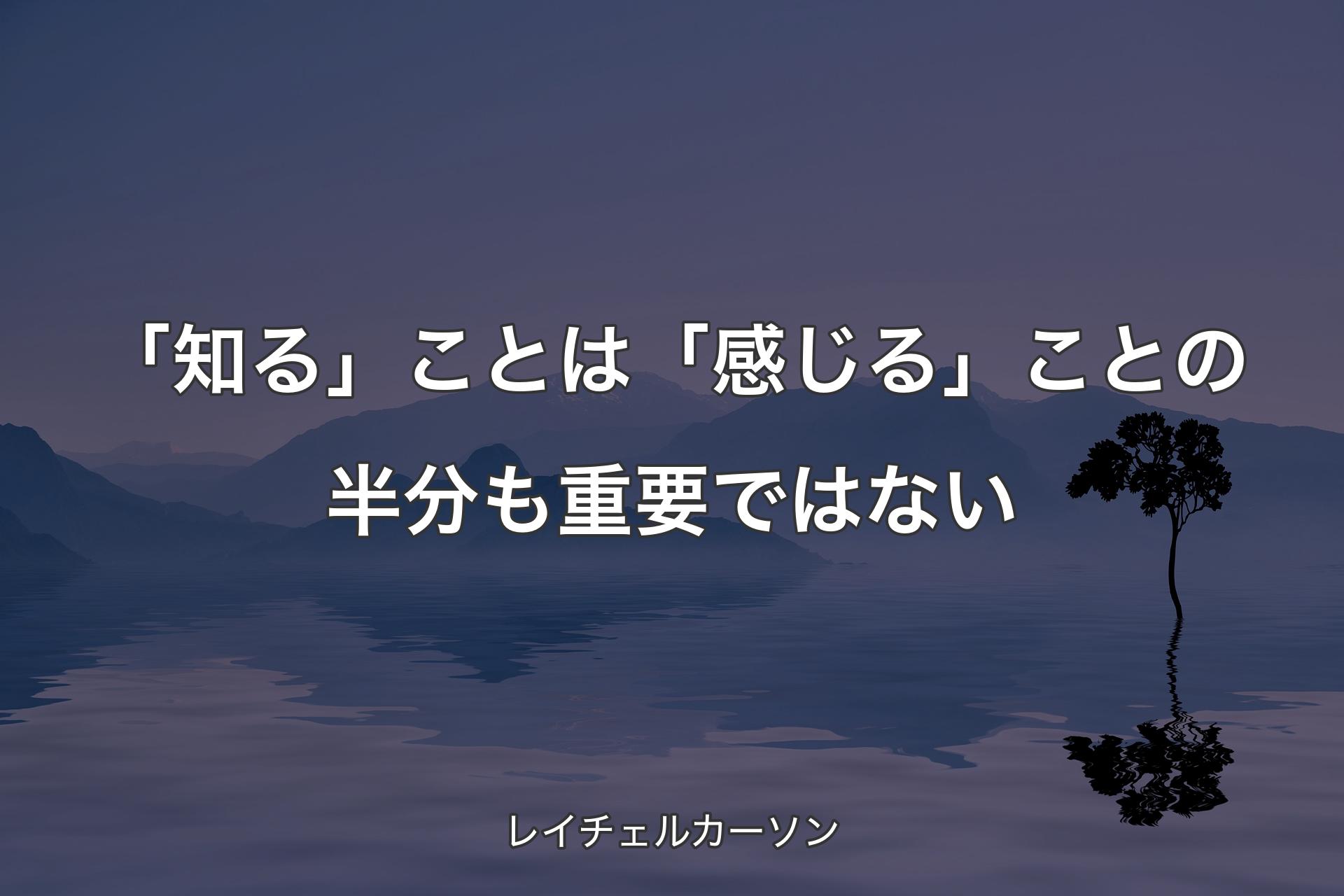 【背景4】「知る」ことは「感じる」ことの半分も重要ではない - レイチェルカーソン