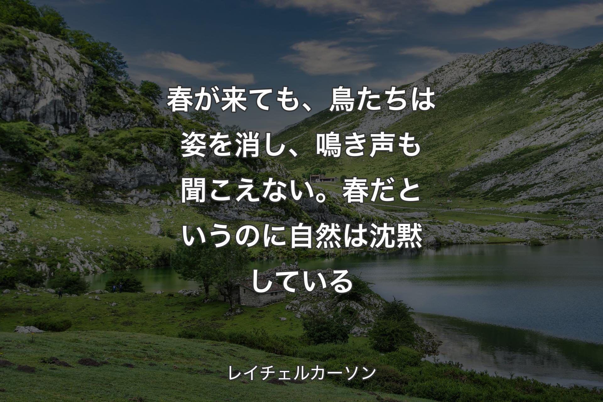 【背景1】春が来ても、鳥たちは姿を消し、鳴き声も聞こえない。春だというのに自然は沈黙している - レイチェルカーソン