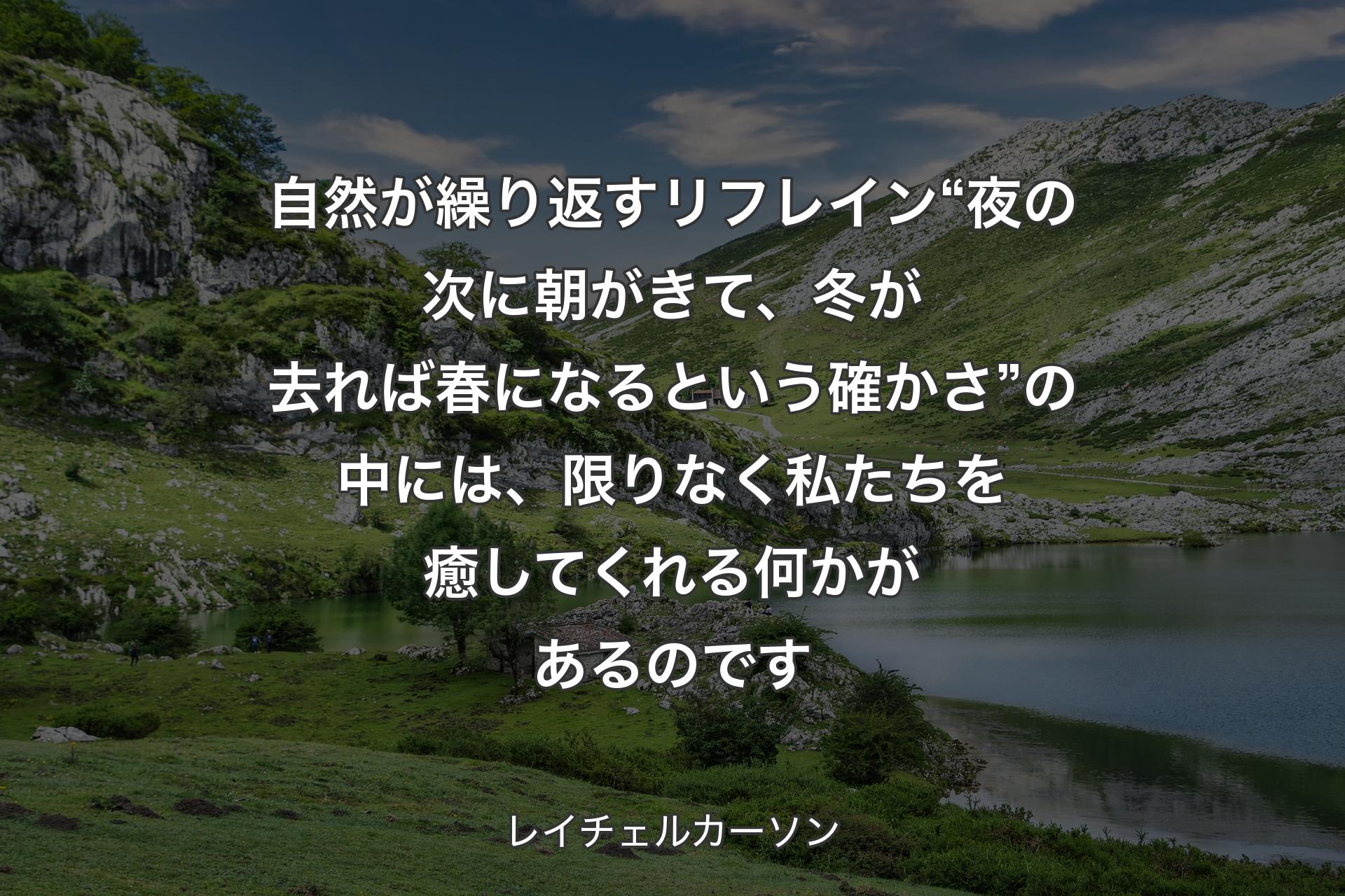 【背景1】自然が繰り返すリフレイン“夜の次に朝がきて、冬が去れば春になるという確かさ”の中には、限りなく私たちを癒してくれる何かがあるのです - レイチェルカーソン