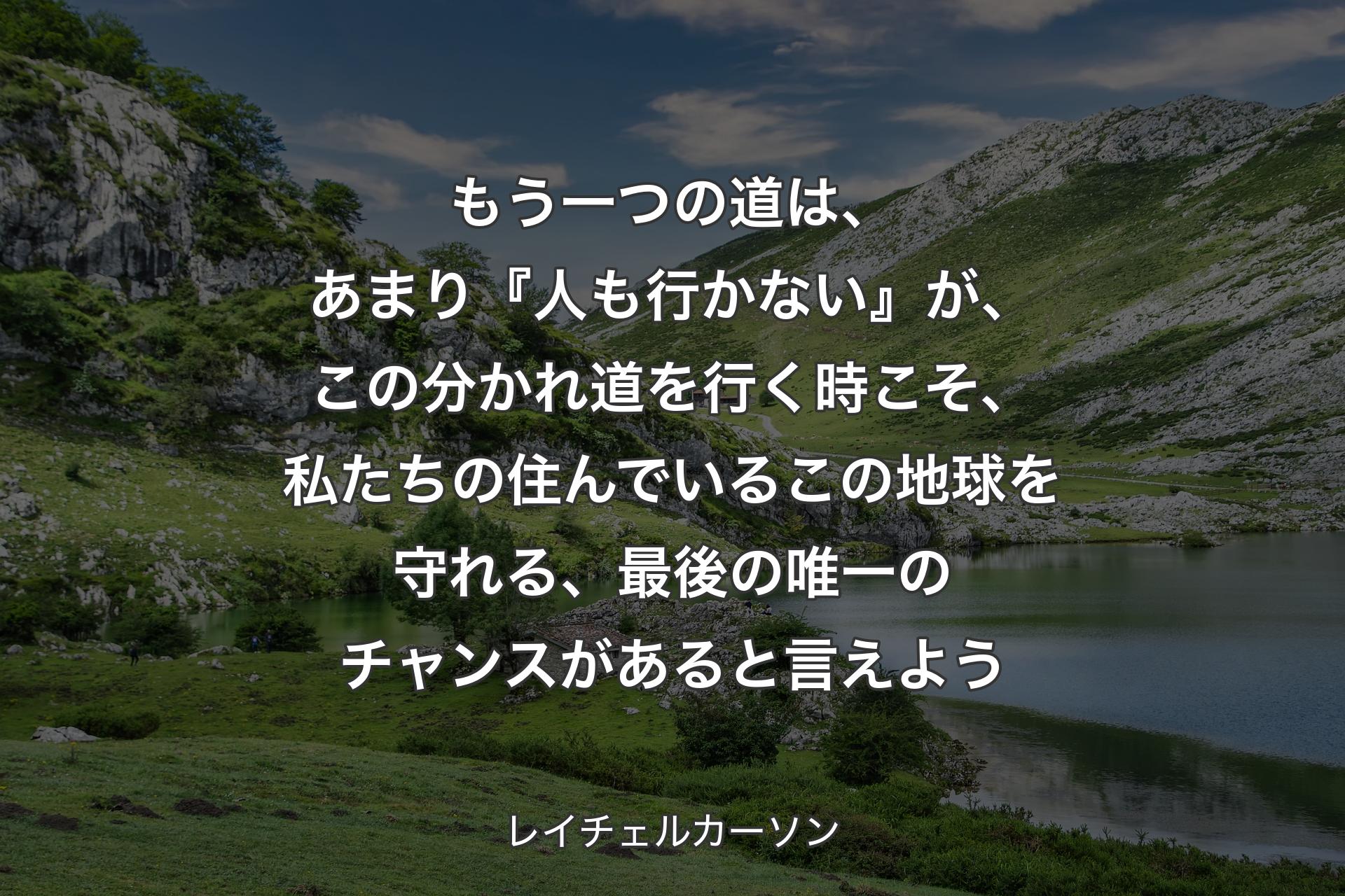 【背景1】もう一つの道は、あまり『人も行かない』が、この分かれ道を行く時こそ、私たちの住んでいるこの地球を守れる、最後の唯一のチャンスがあると言えよう - レイチェルカーソン