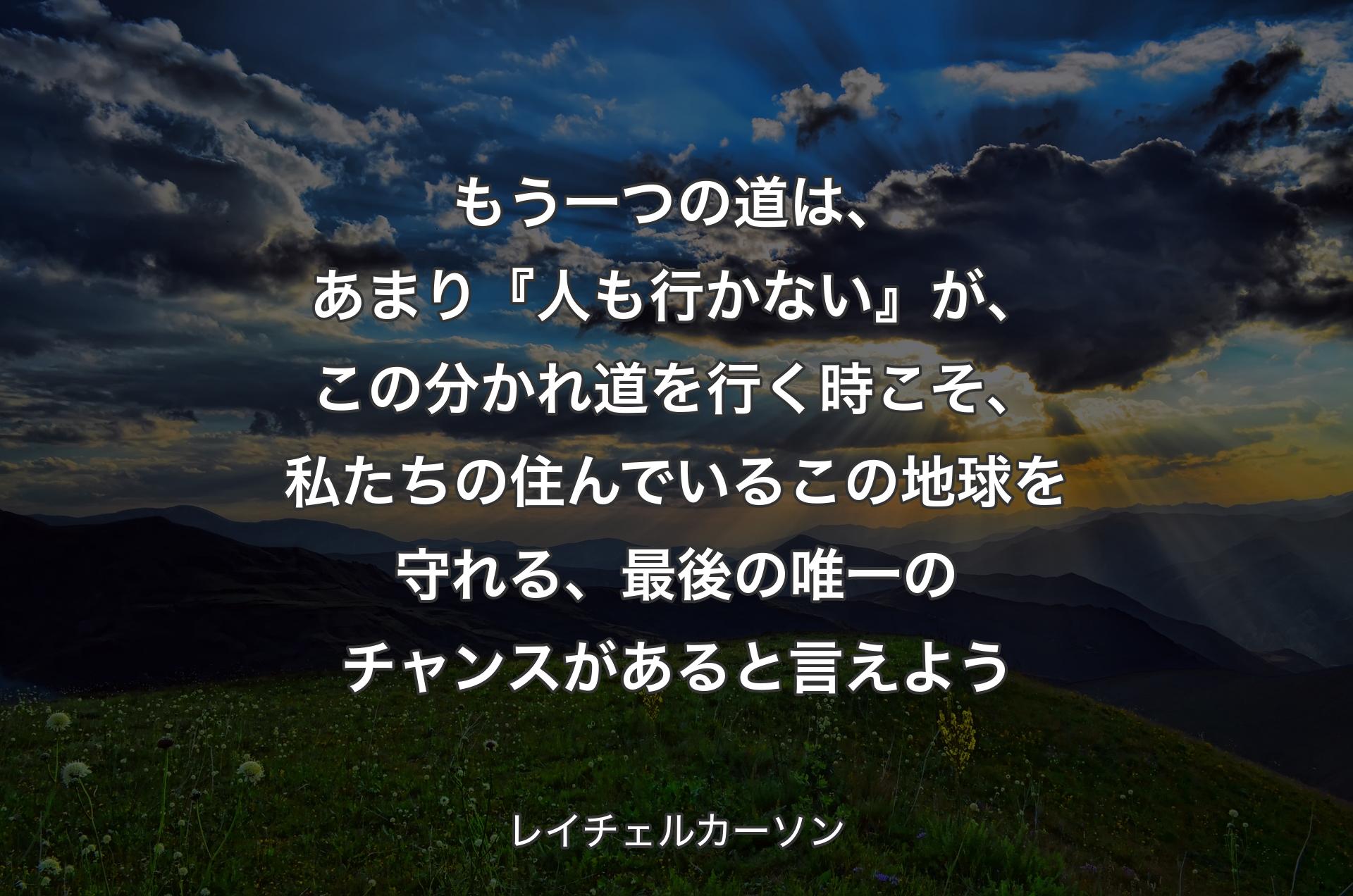 もう一つの道は、あまり『人も行かない』が、この分かれ道を行く時こそ、私たちの住んでいるこの地球を守れる、最後の唯一のチャンスがあると言えよう - レイチェルカーソン