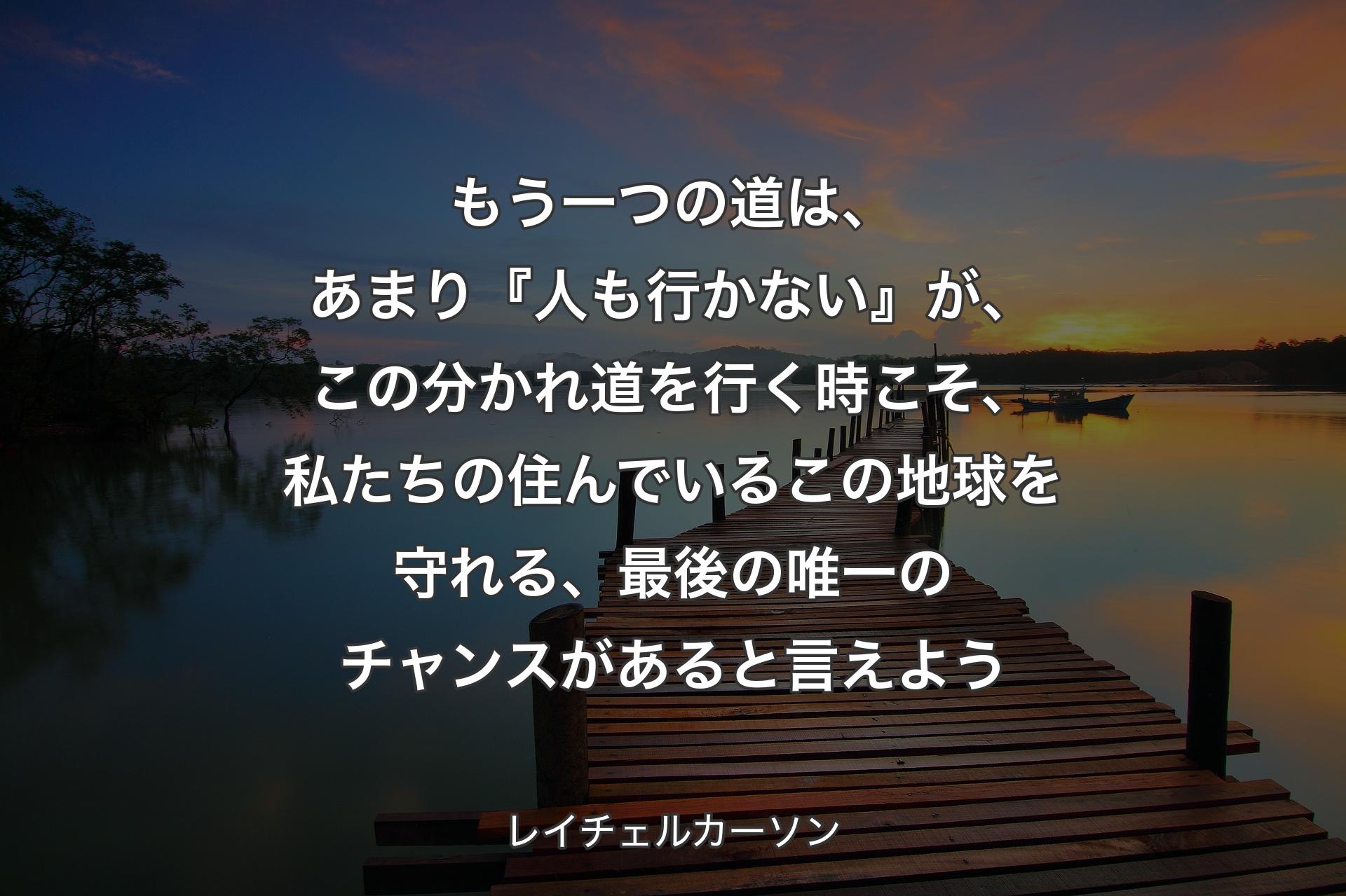 もう一つの道は、あまり『人も行かない』が、この分かれ道を行く時こそ、私たちの住んでいるこの地球を守れる、最後の唯一のチャンスがあると言えよう - レイチェルカーソン