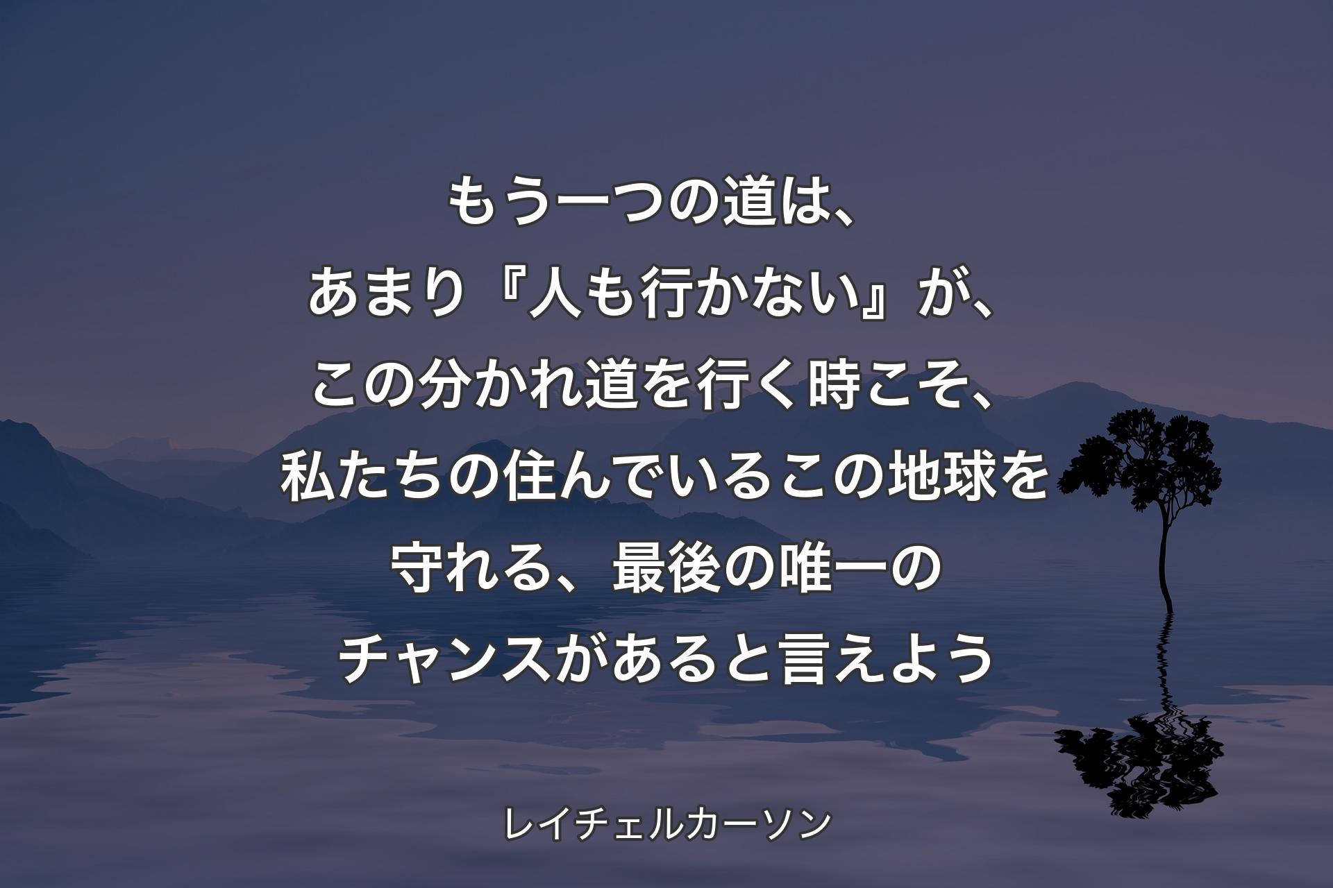 【背景4】もう一つの道は、あまり『人も行かない』が、この分かれ道を行く時こそ、私たちの住んでいるこの地球を守れる、最後の唯一のチャンスがあると言えよう - レイチェルカーソン