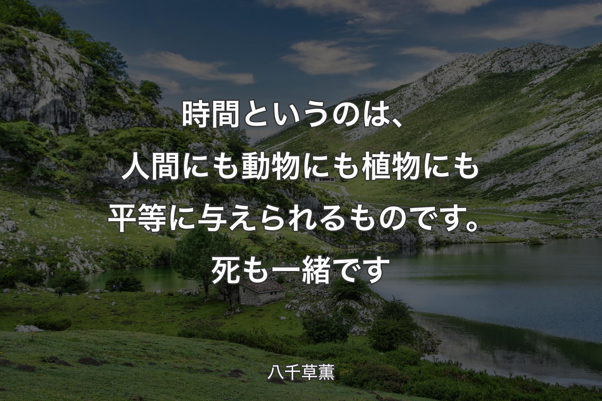 【背景1】時間というのは、人間にも動物にも植物にも平等に与えられるものです。死も一緒です - 八千草薫