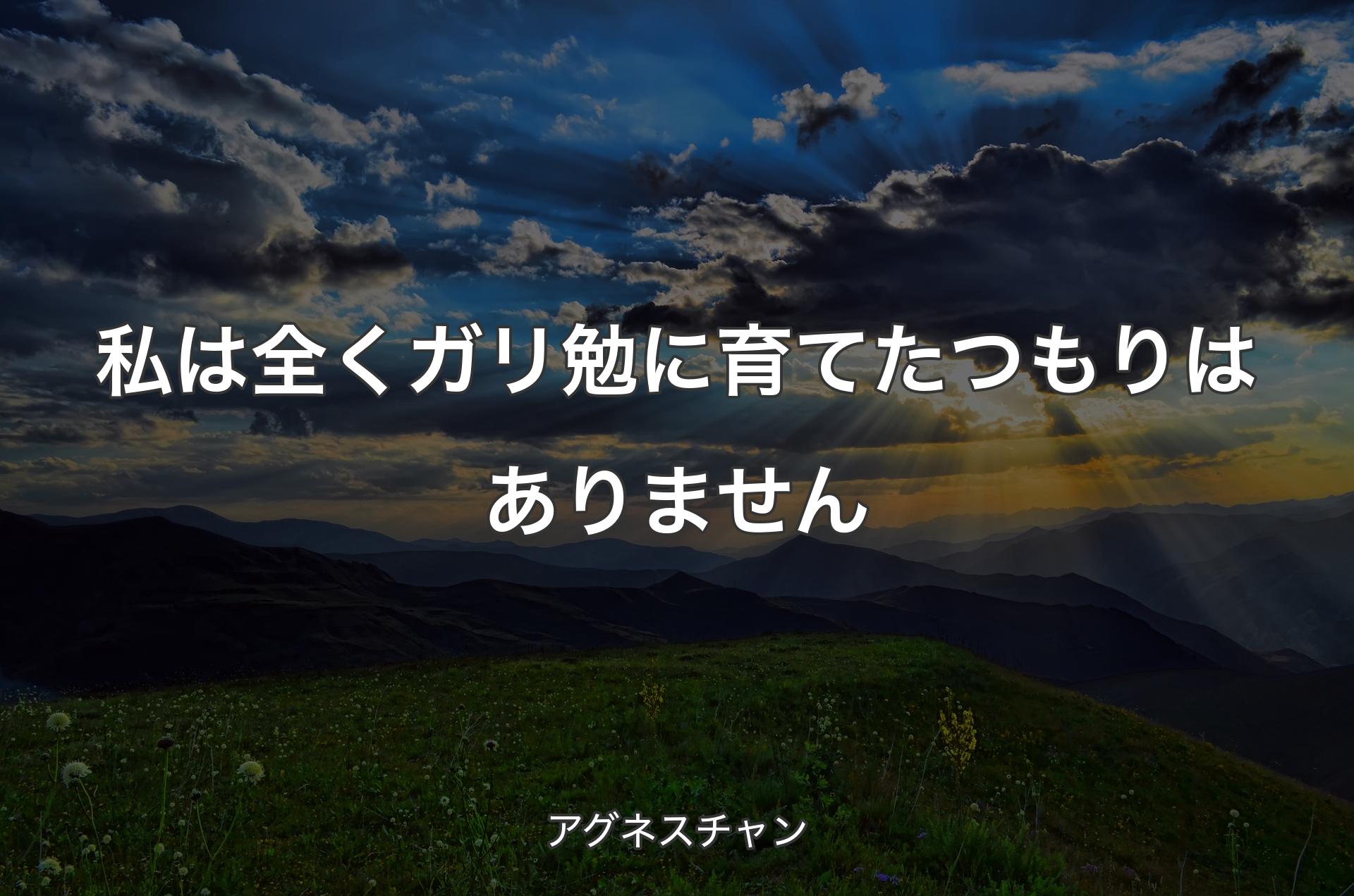 私は全くガリ勉に育てたつもりはありません - アグネスチャン