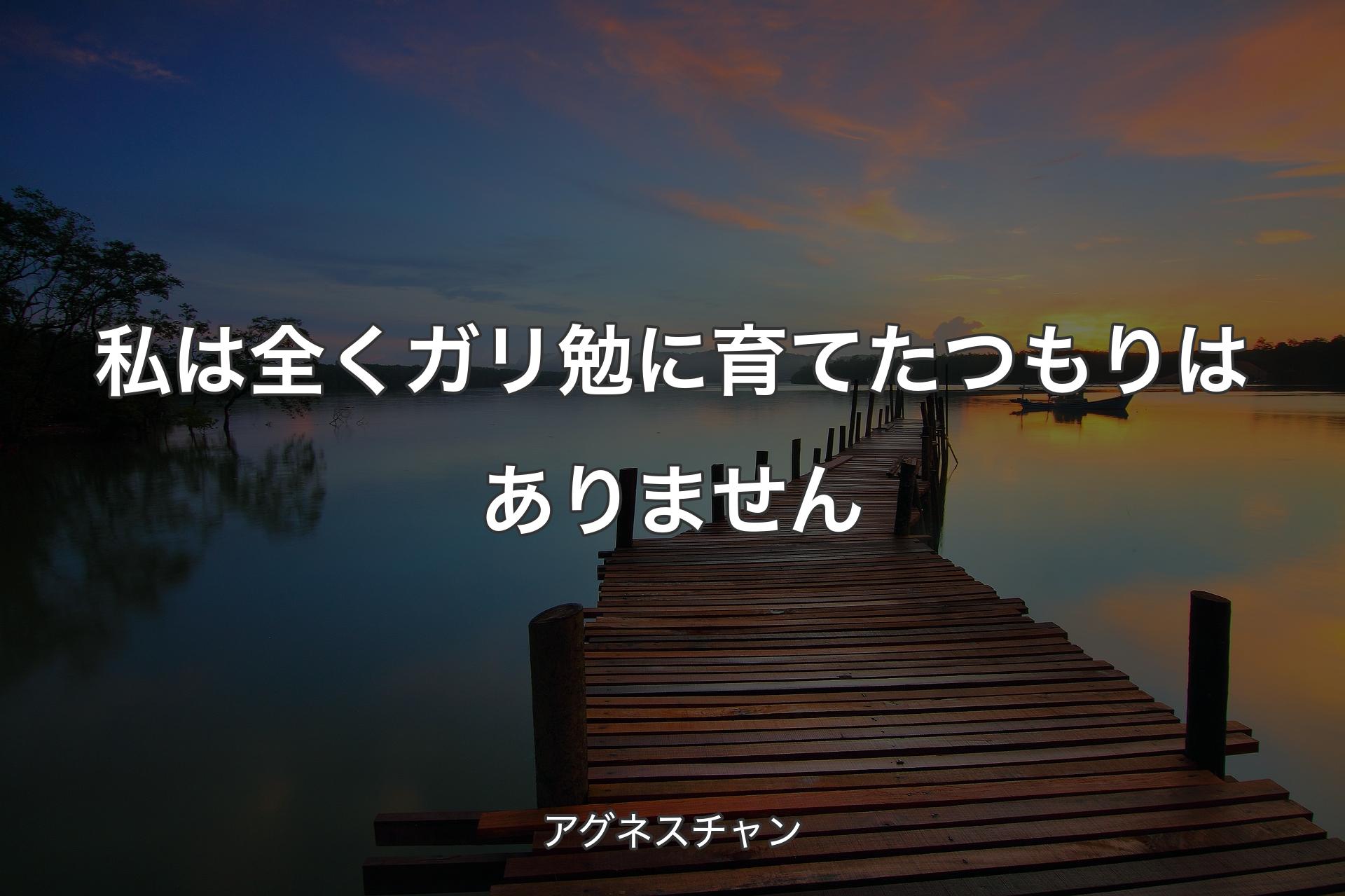 【背景3】私は全くガリ勉に育てたつもりはありません - アグネスチャン