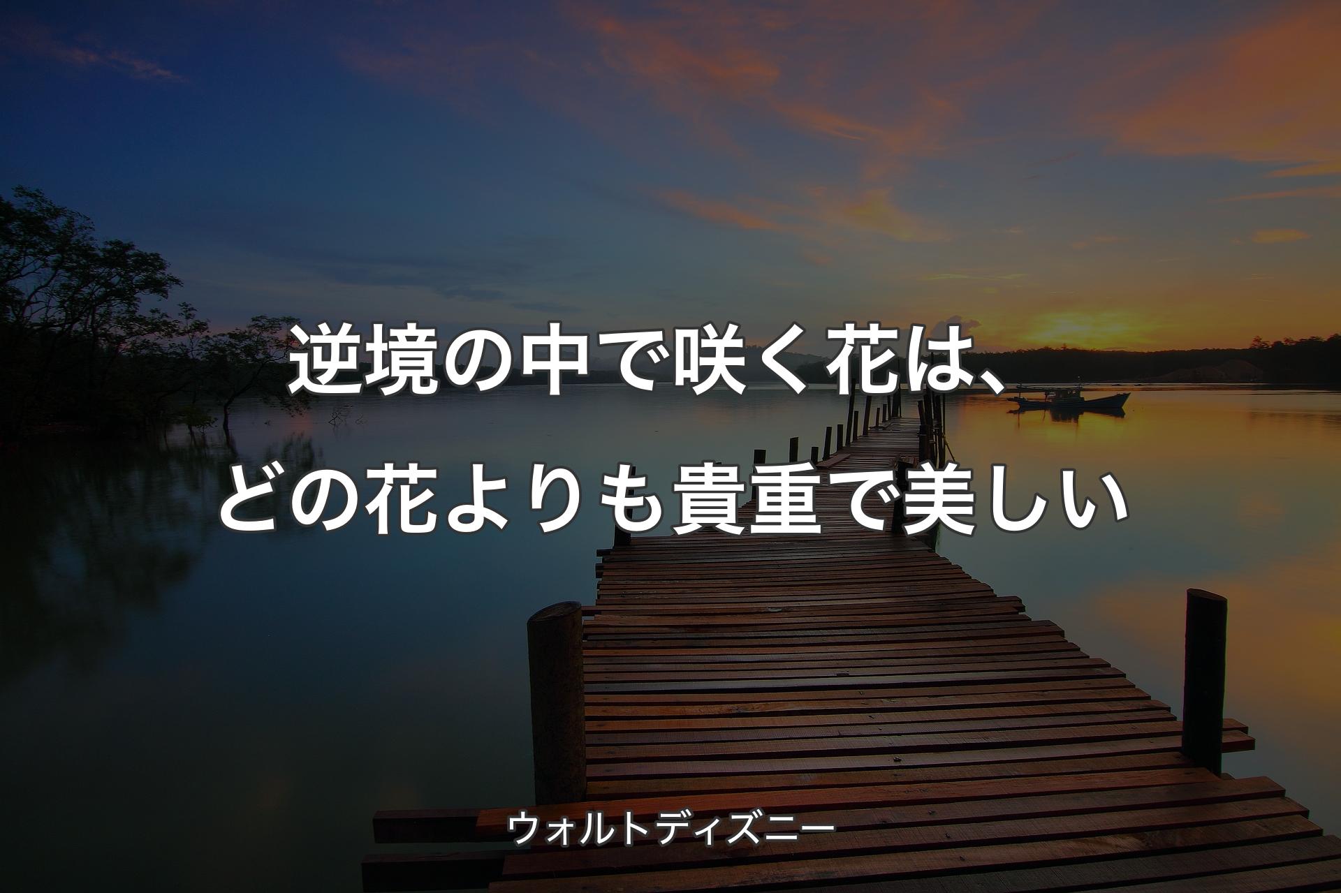 【背景3】逆境の中で咲く花は、どの花よりも貴重で美しい - ウォルトディズニー