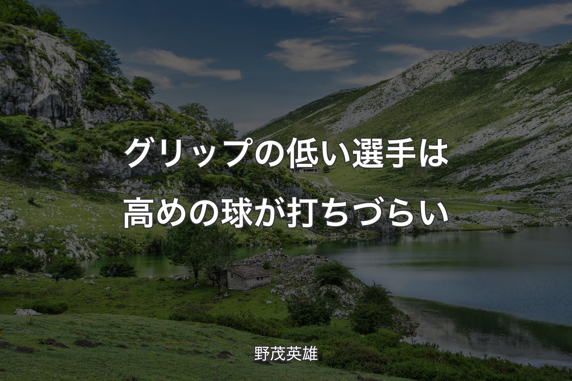 【背景1】グリップの低い選手は高めの球が打ちづらい - 野茂英雄