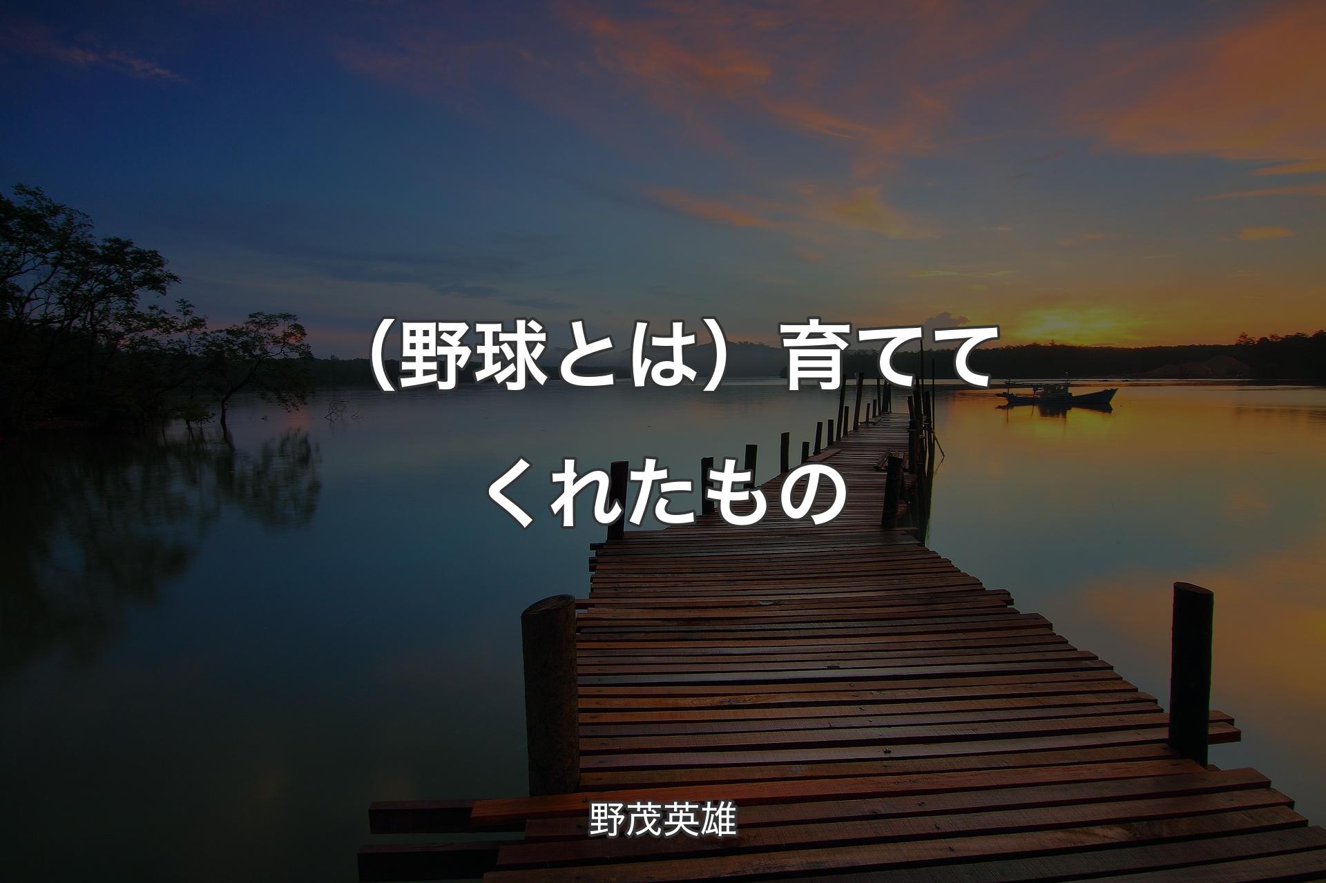 【背景3】（野球とは）育ててくれたもの - 野茂英雄