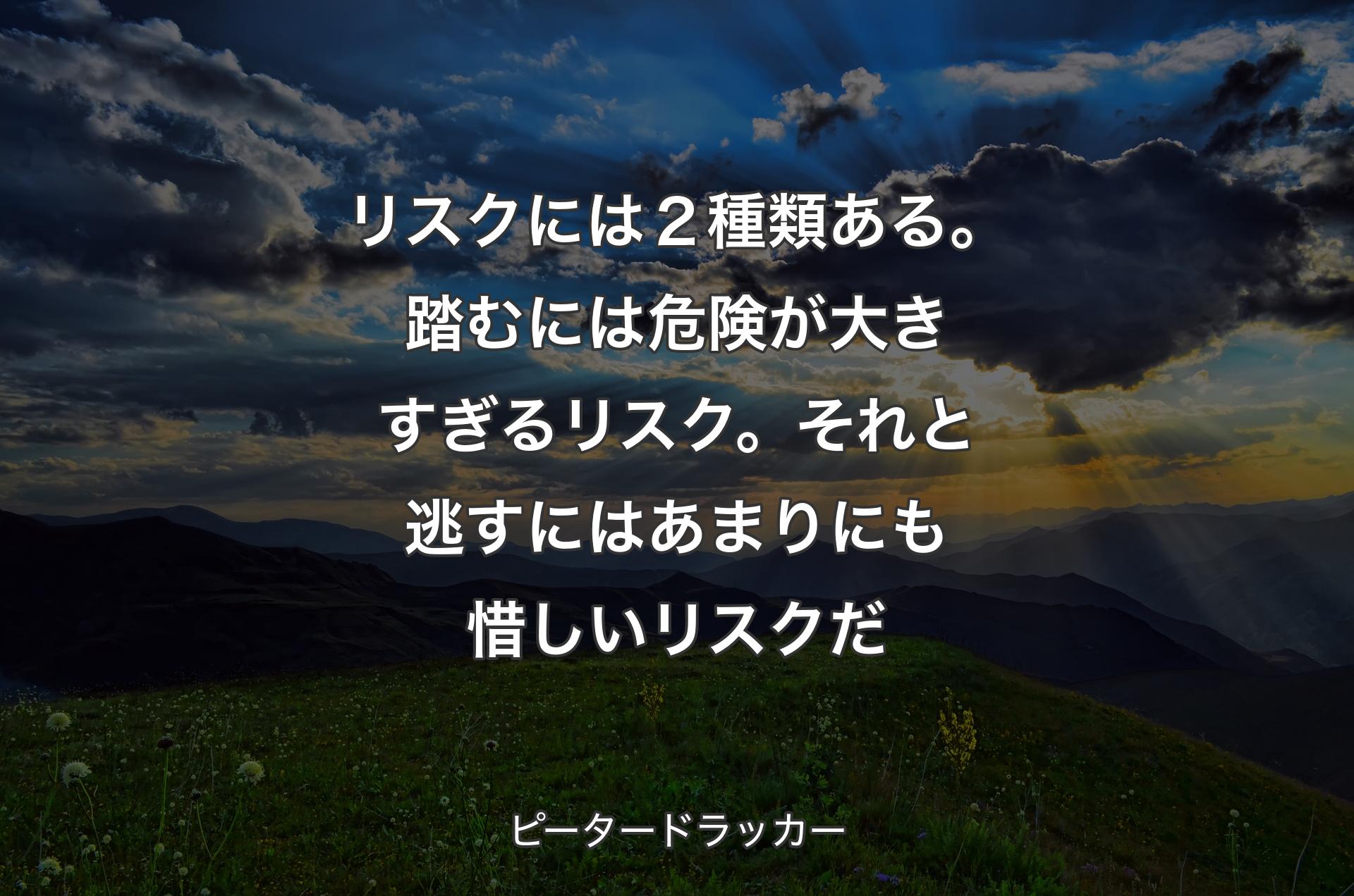 リスクには２種類ある。踏むには危険が大きすぎるリスク。それと逃すにはあまりにも惜しいリスクだ - ピータードラッカー