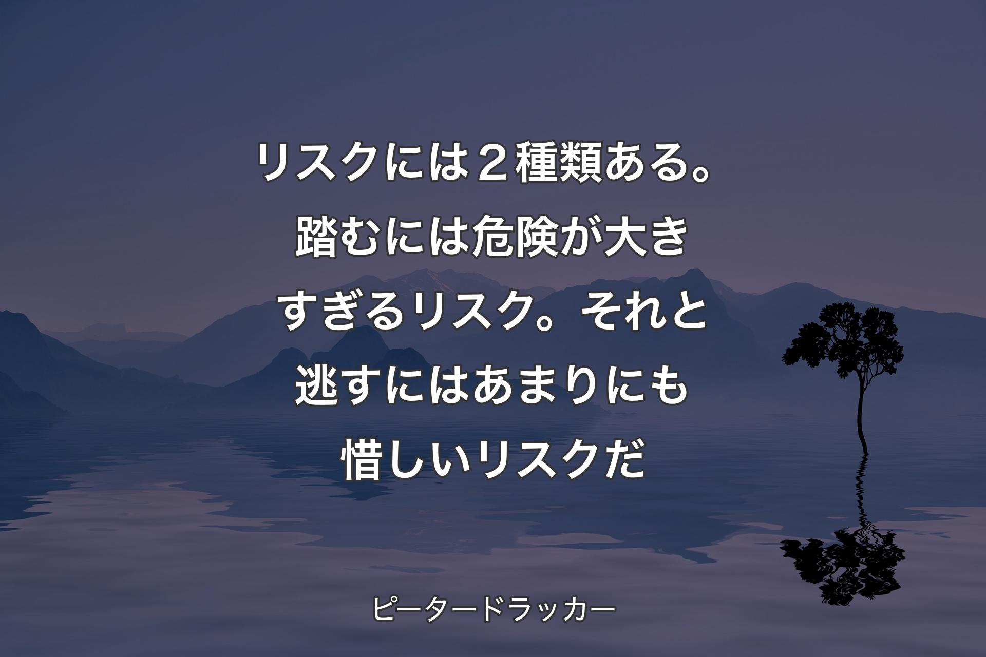 【背景4】リスクには２種類ある。踏むには危険が大きすぎるリスク。それと逃すにはあまりにも惜しいリスクだ - ピータードラッカー