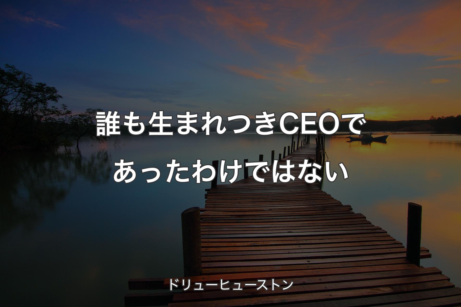 【背景3】誰も生まれつきCEOであったわけではない - ドリューヒューストン