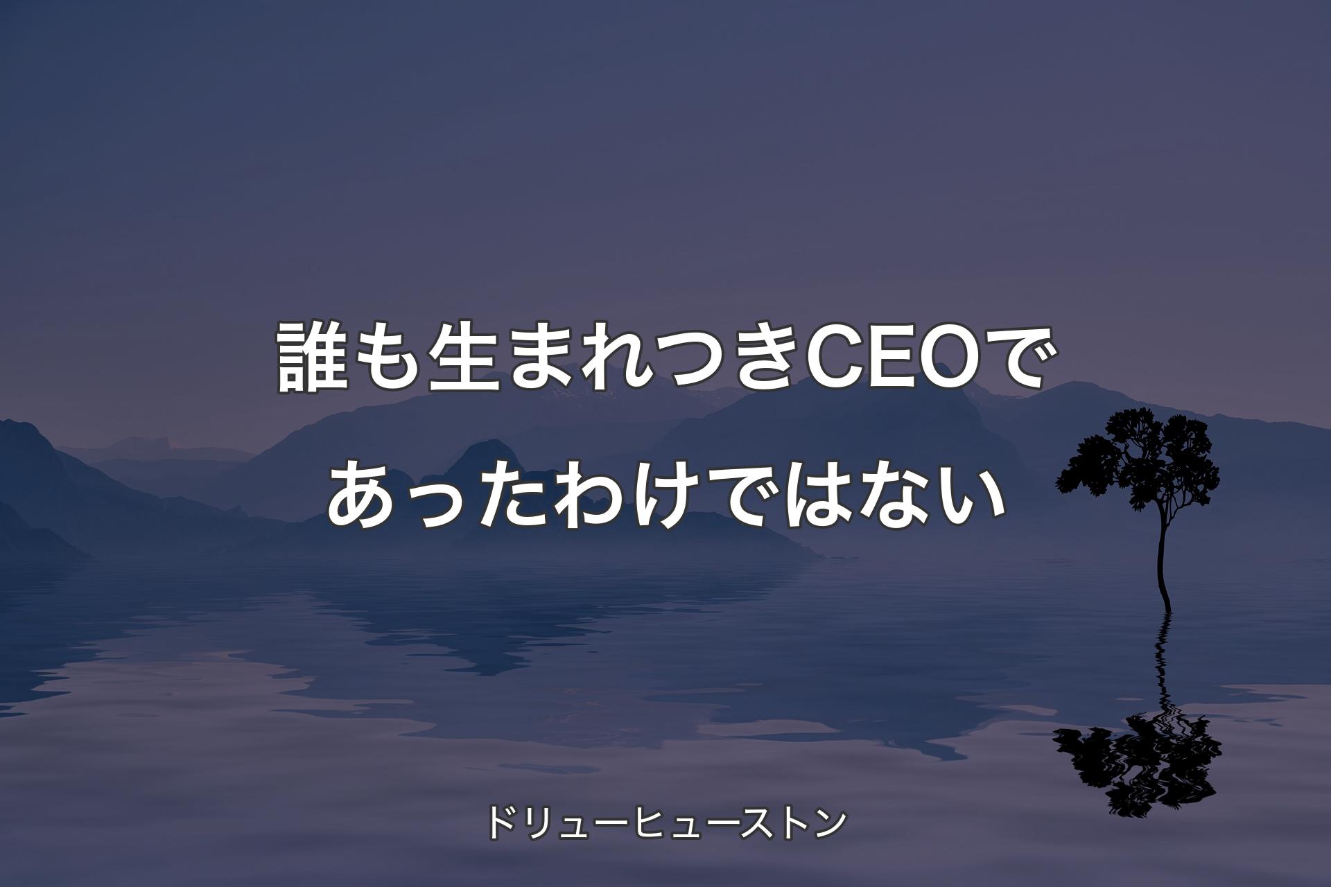 【背景4】誰も生まれつきCEOであったわけではない - ドリューヒューストン