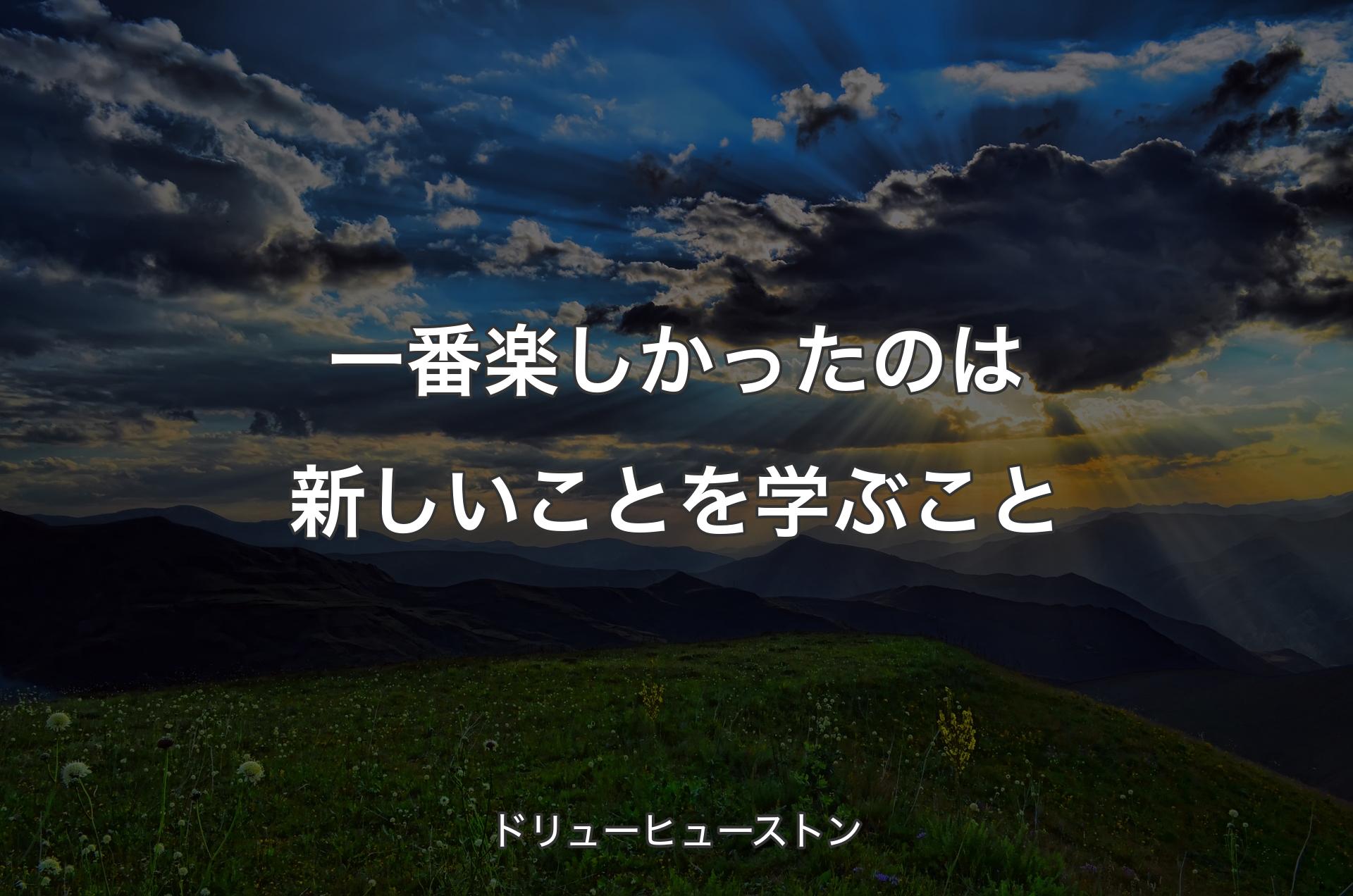 一番楽しかったのは新しいことを学ぶこと - ドリューヒューストン