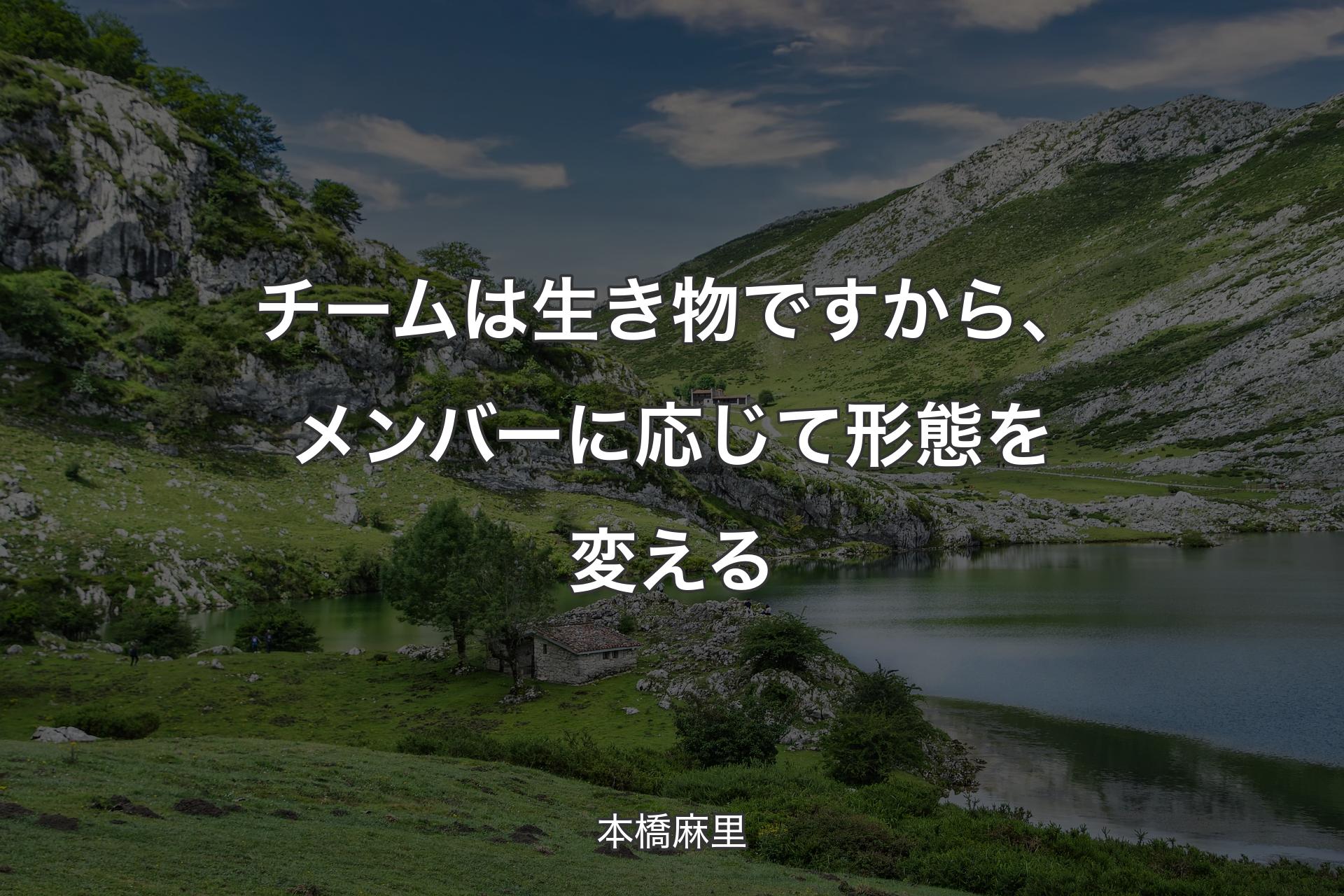 【背景1】チームは生き物ですから、メンバーに応じて形態を変える - 本橋麻里