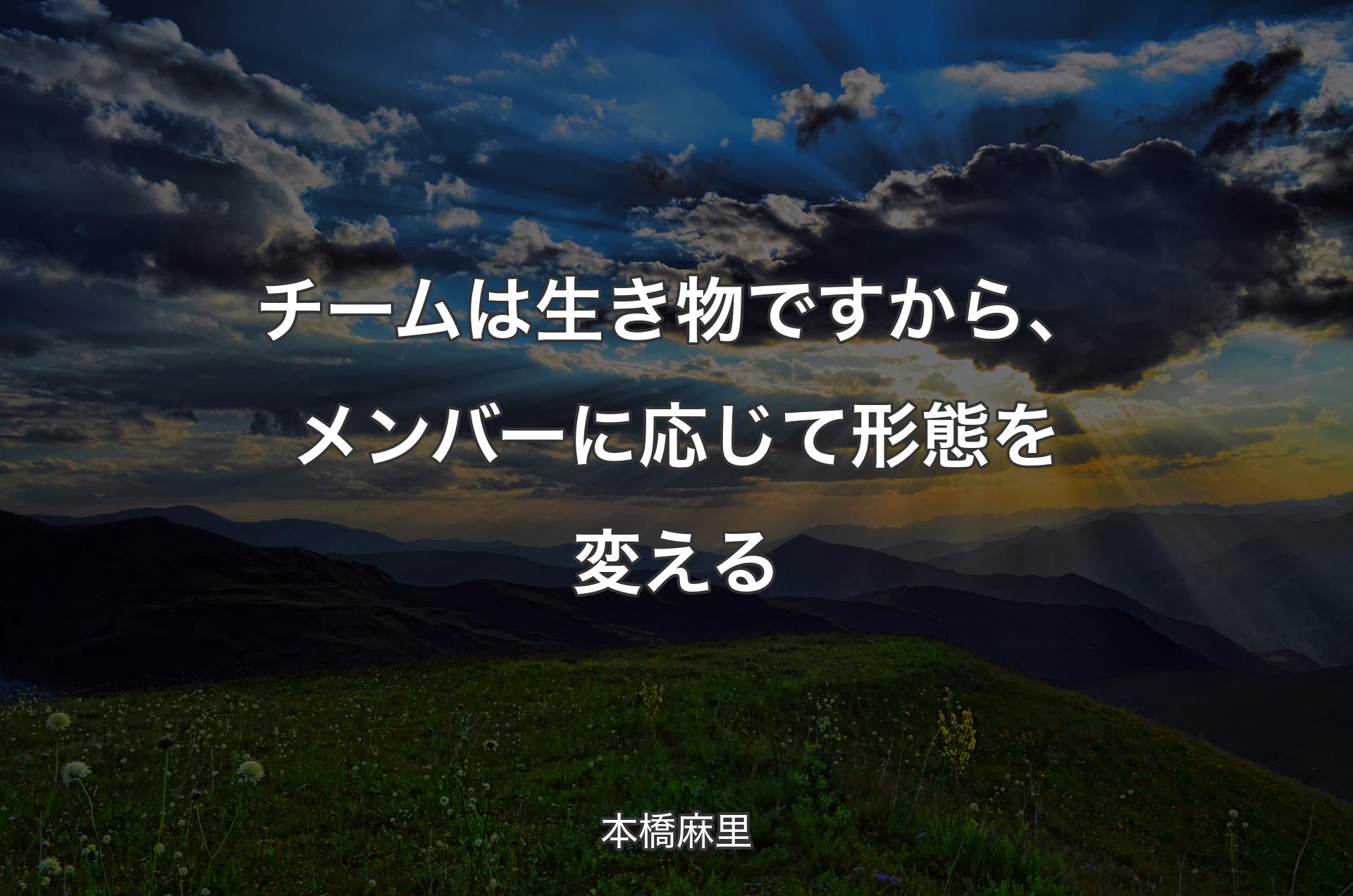 チームは生き物ですから、メンバーに応じて形態を変える - 本橋麻里