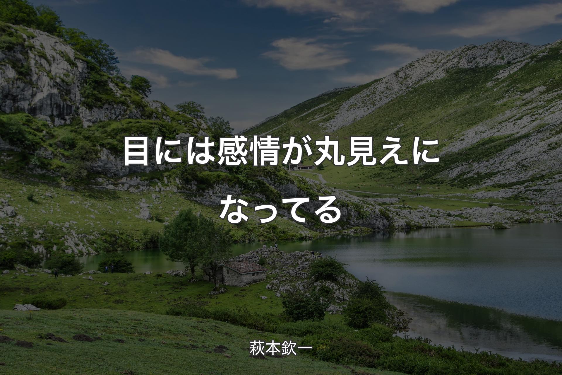 【背景1】目には感情が丸見えになってる - 萩本欽一