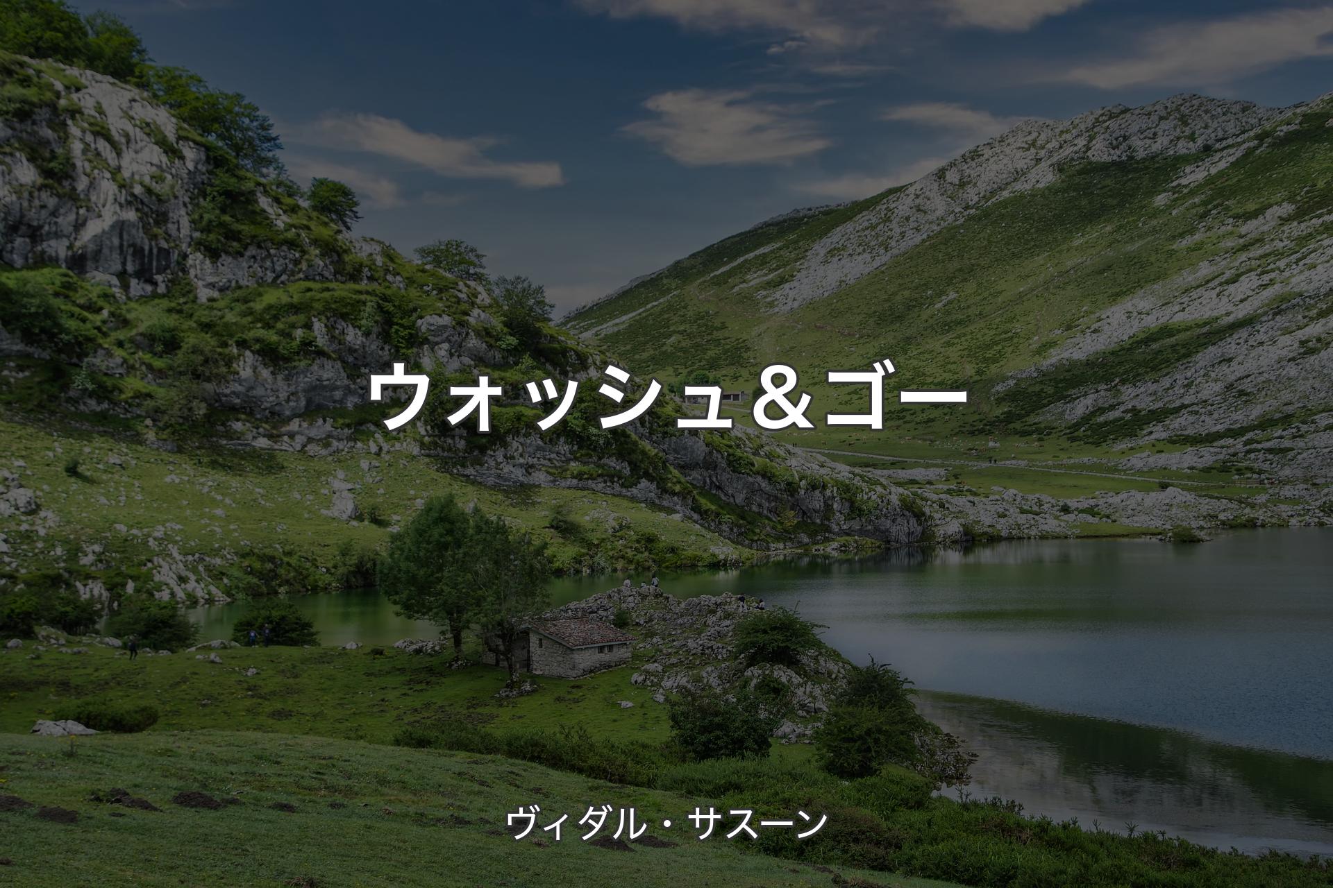 【背景1】ウォッシュ＆ゴー - ヴィダル・サスーン