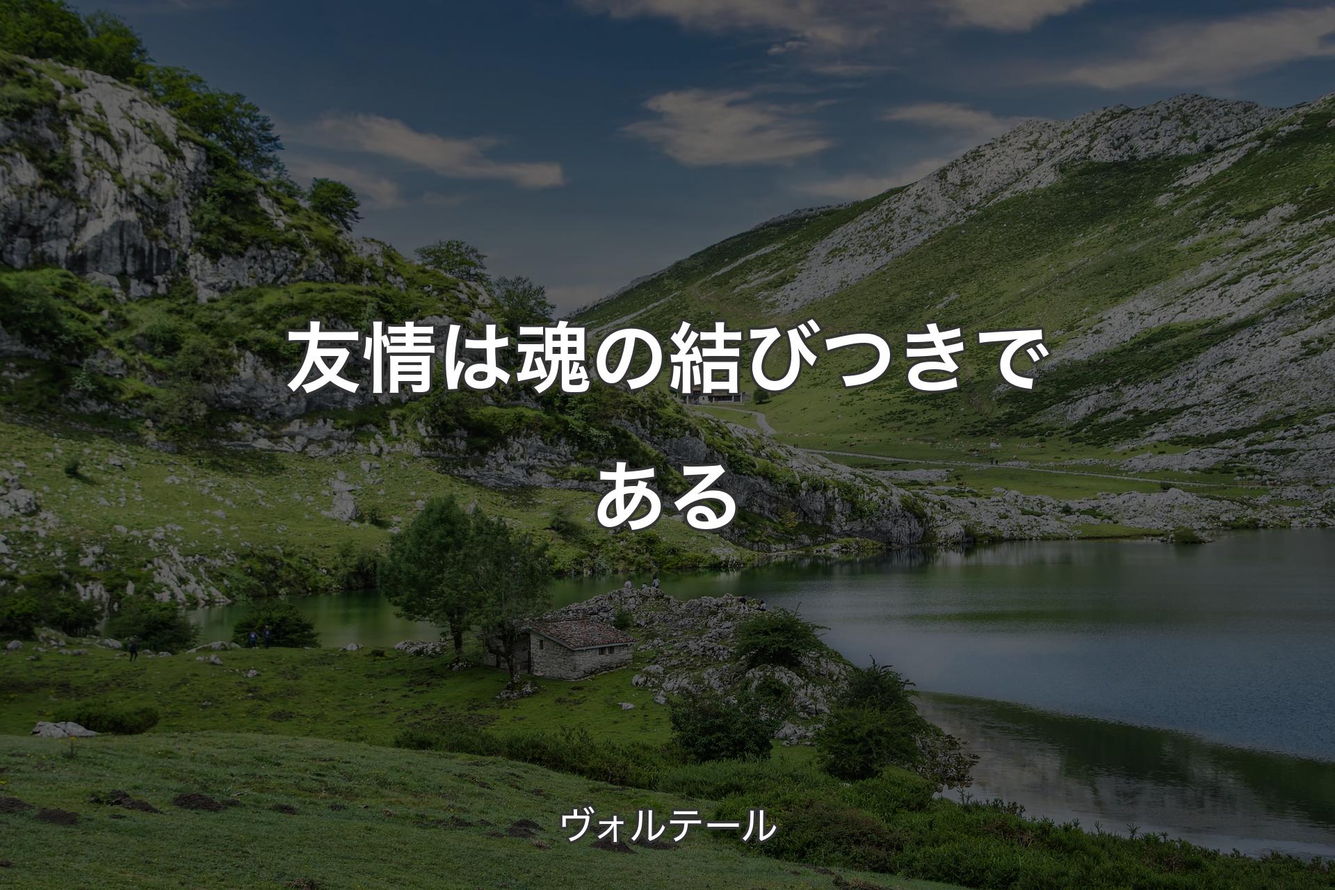 友情は魂の結びつきである - ヴォルテール