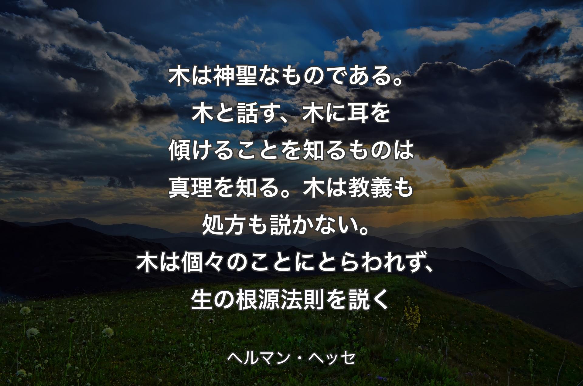 木は神聖なものである。木と話す、木に耳を傾けることを知るものは真理を知る。木は教義も処方も説かない。木は個々のことにとらわれず、生の根源法則を説く - ヘルマン・ヘッセ