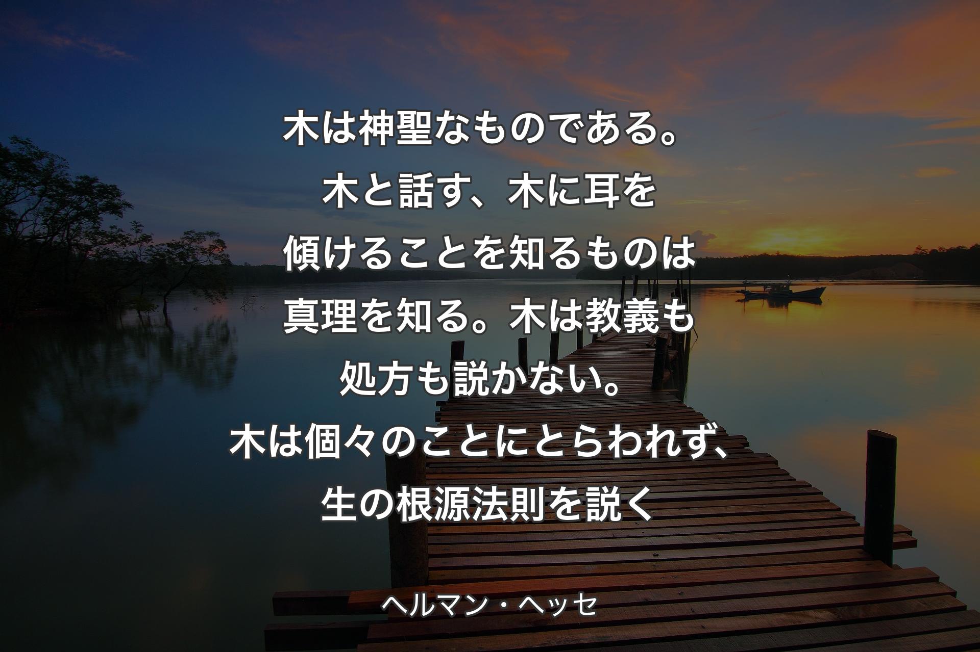 【背景3】木は神聖なものである。木と話す、木に耳を傾けることを知るものは真理を知る。木は教義も処方も説かない。木は個々のことにとらわれず、生の根源法則を説く - ヘルマン・ヘッセ