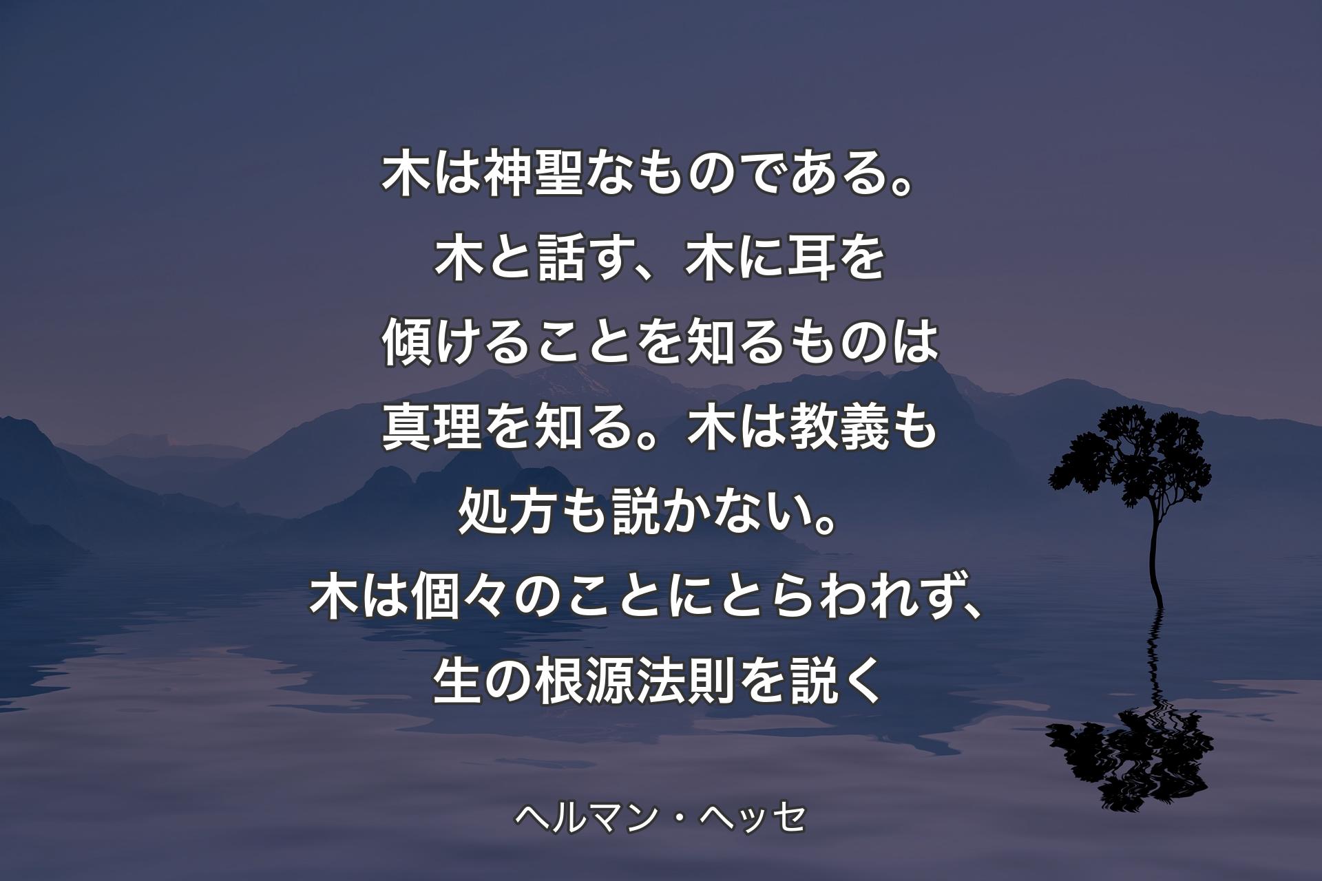 【背景4】木は神聖なものである。木と話す、木に耳を傾けることを知るものは真理を知る。木は教義も処方も説かない。木は個々のことにとらわれず、生の根源法則を説く - ヘルマン・ヘッセ