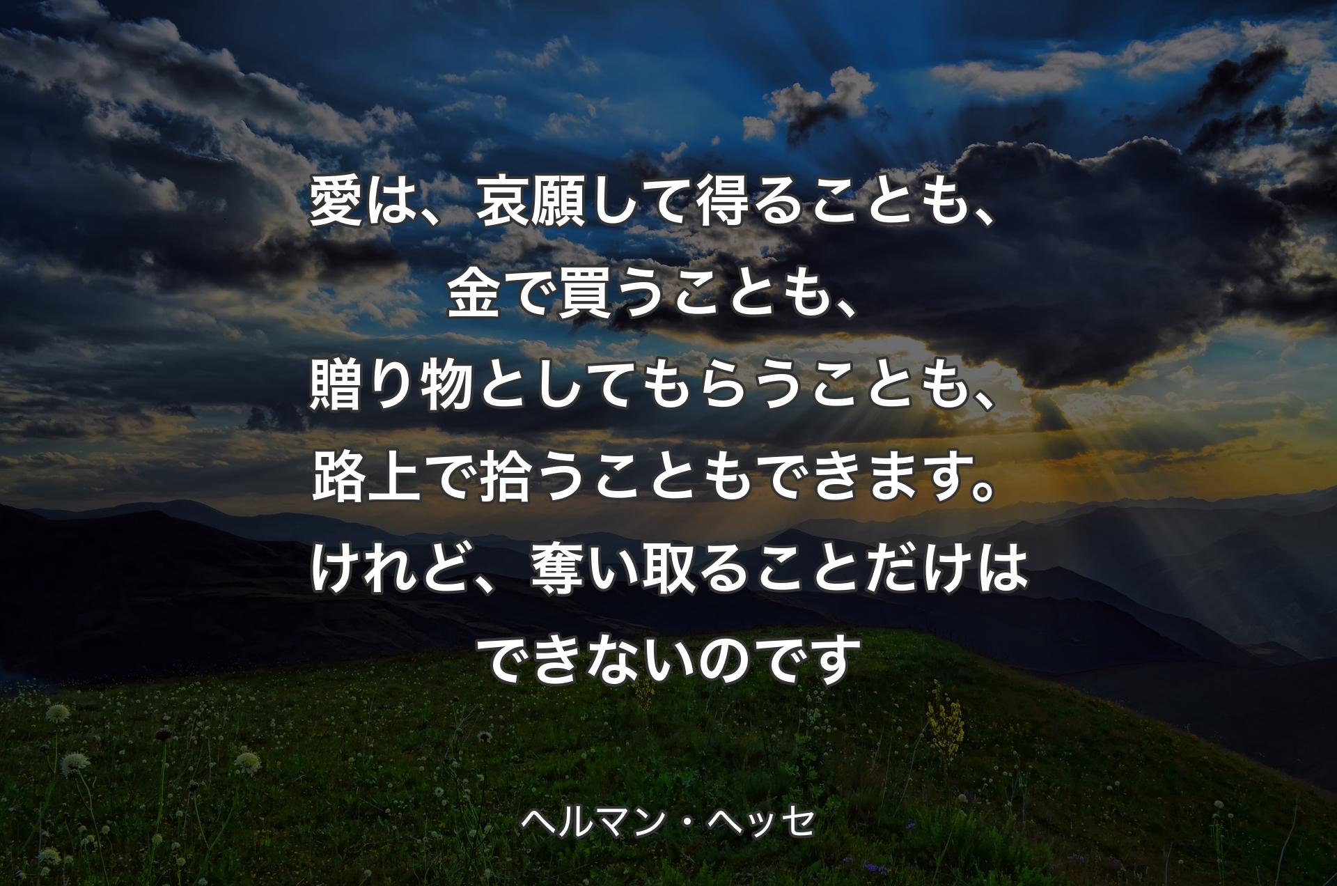 愛は、哀願して得ることも、金で買うことも、贈り物としてもらうことも、路上で拾うこともできます。けれど、奪い取ることだけはできないのです - ヘルマン・ヘッセ