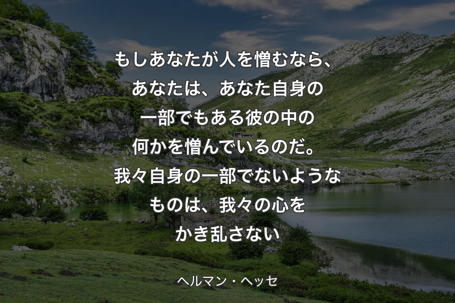 【背景1】もしあなたが人を憎むなら、あなたは、あなた自身の一部でもある彼の中の何かを憎んでいるのだ。我々自身の一部でないようなものは、我々の心をかき乱さない - ヘルマン・ヘッセ