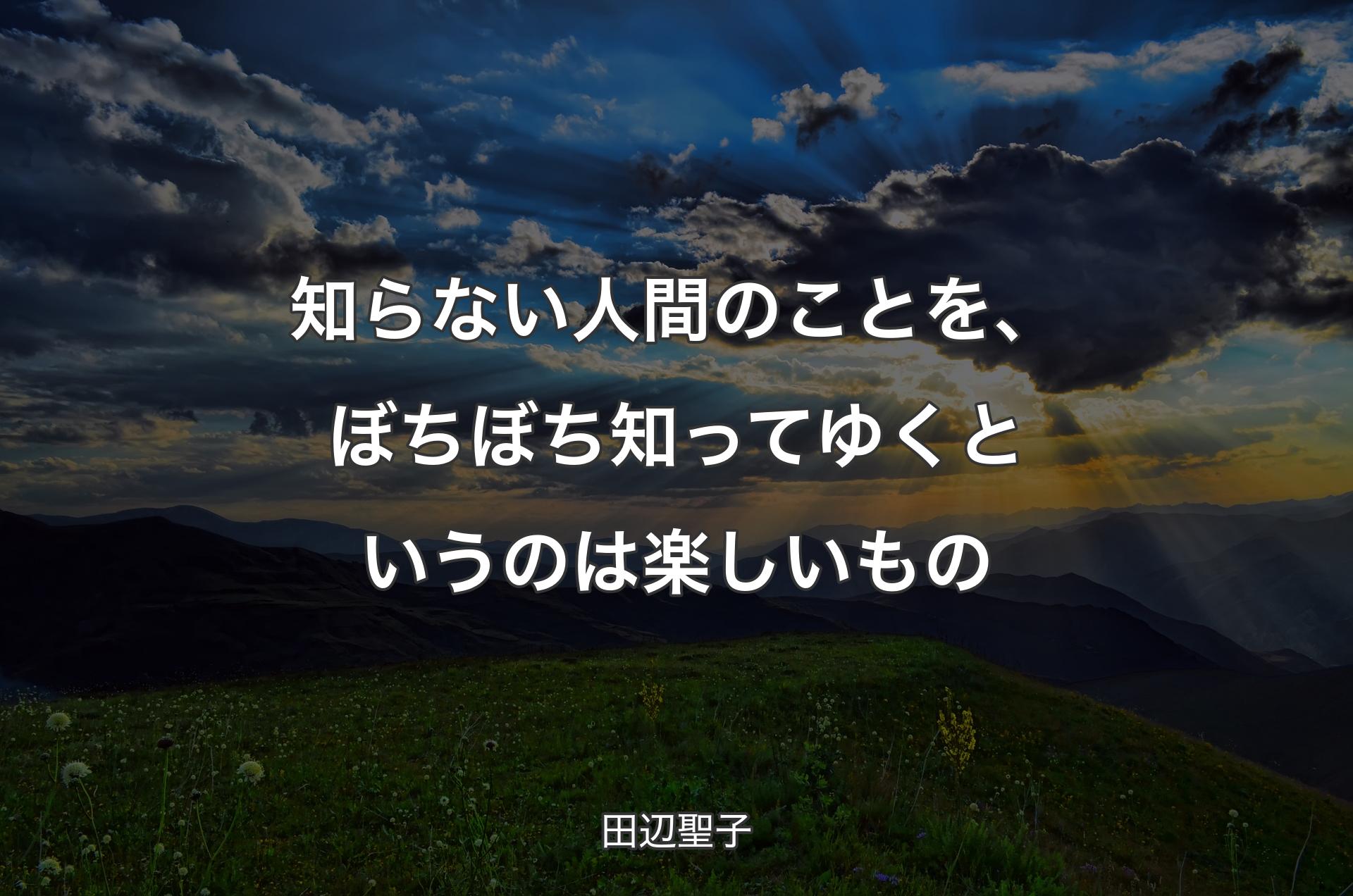 知らない人間のことを、ぼちぼち知ってゆくというのは楽しいもの - 田辺聖子