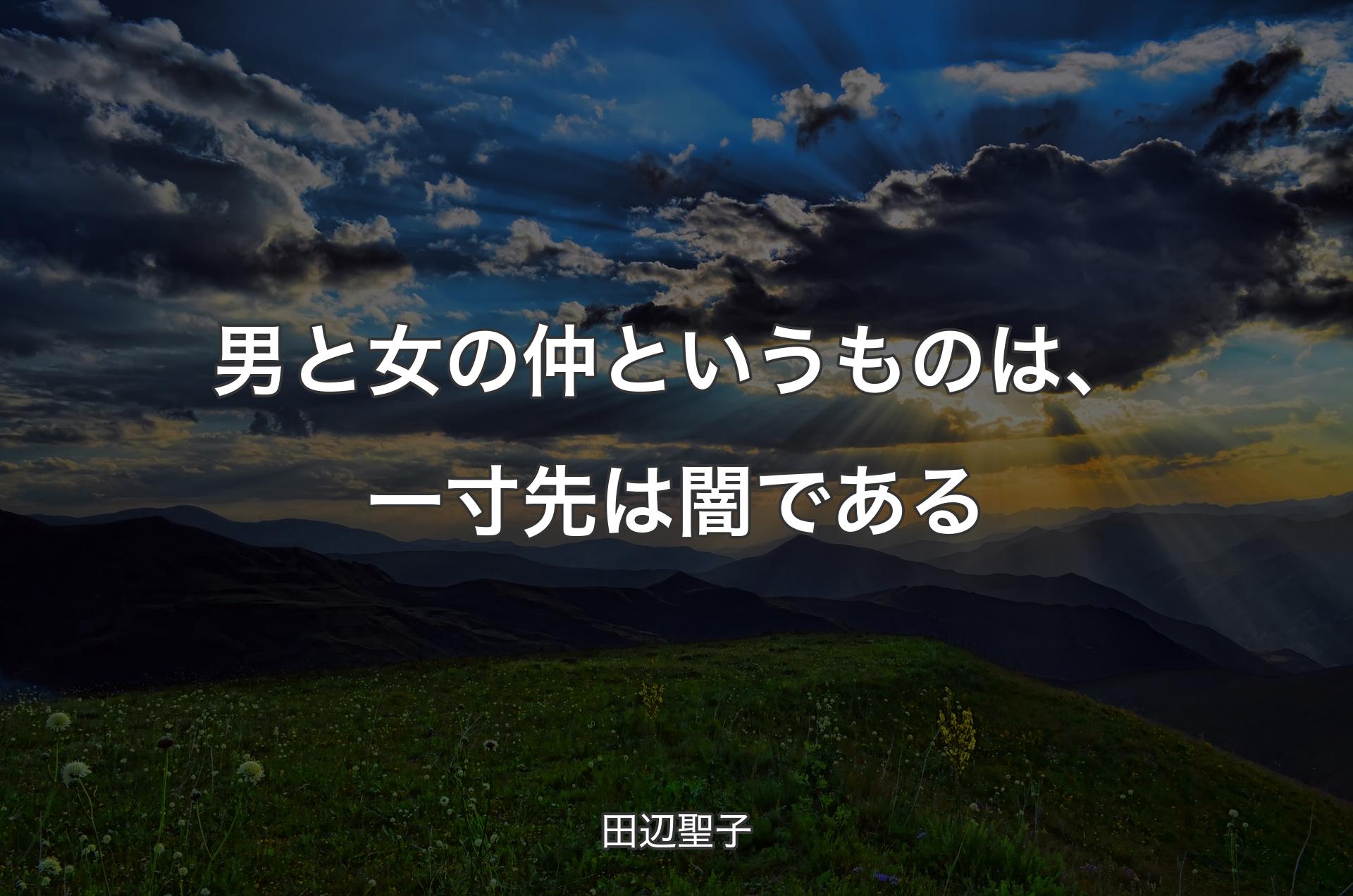 男と女の仲というものは、一寸先は闇である - 田辺聖子